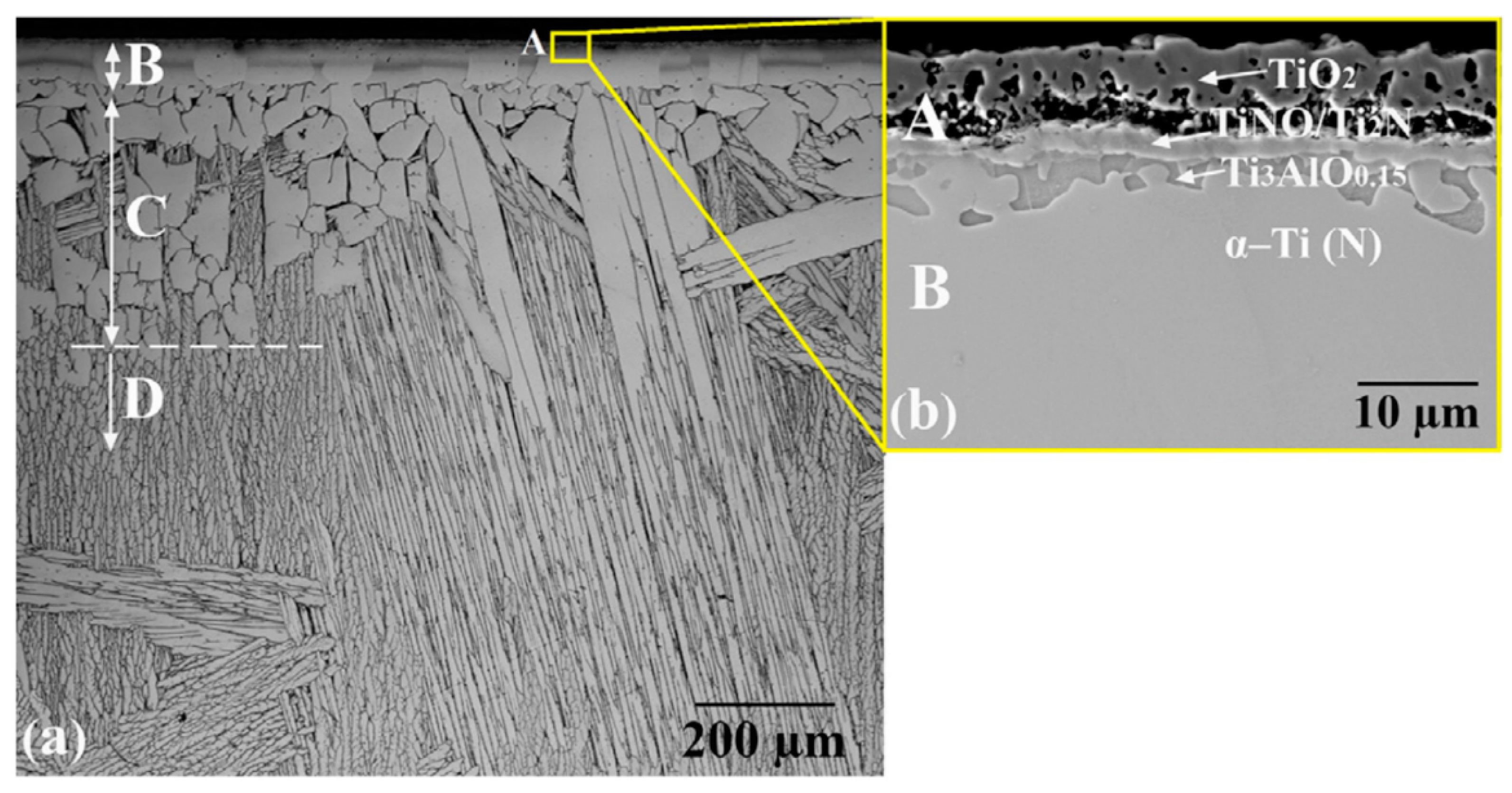 Coatings 13 00577 g009 Coatings 13 00577 g009