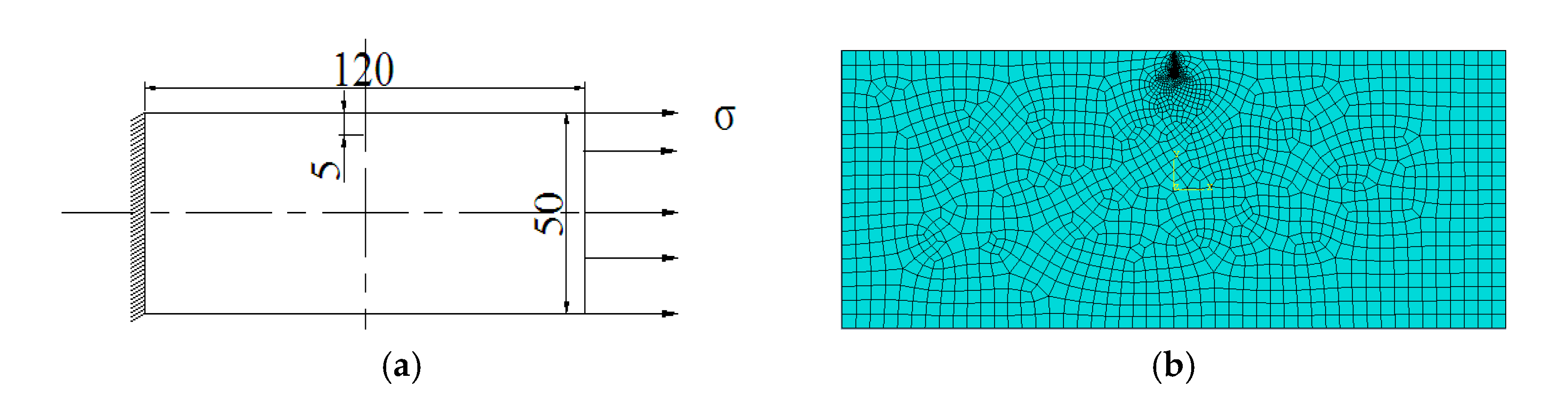 Coatings 13 00581 g001