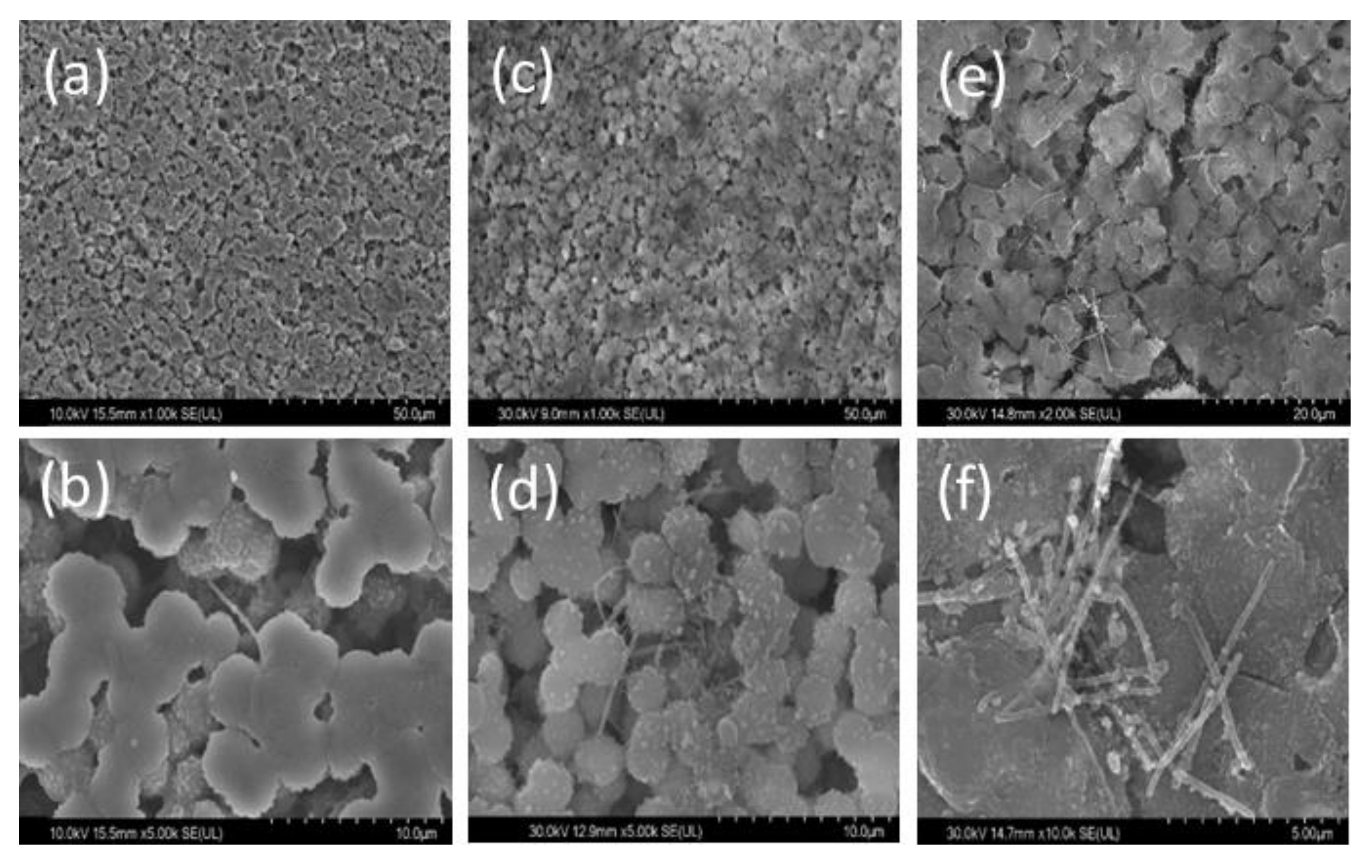 Coatings 13 00594 g004