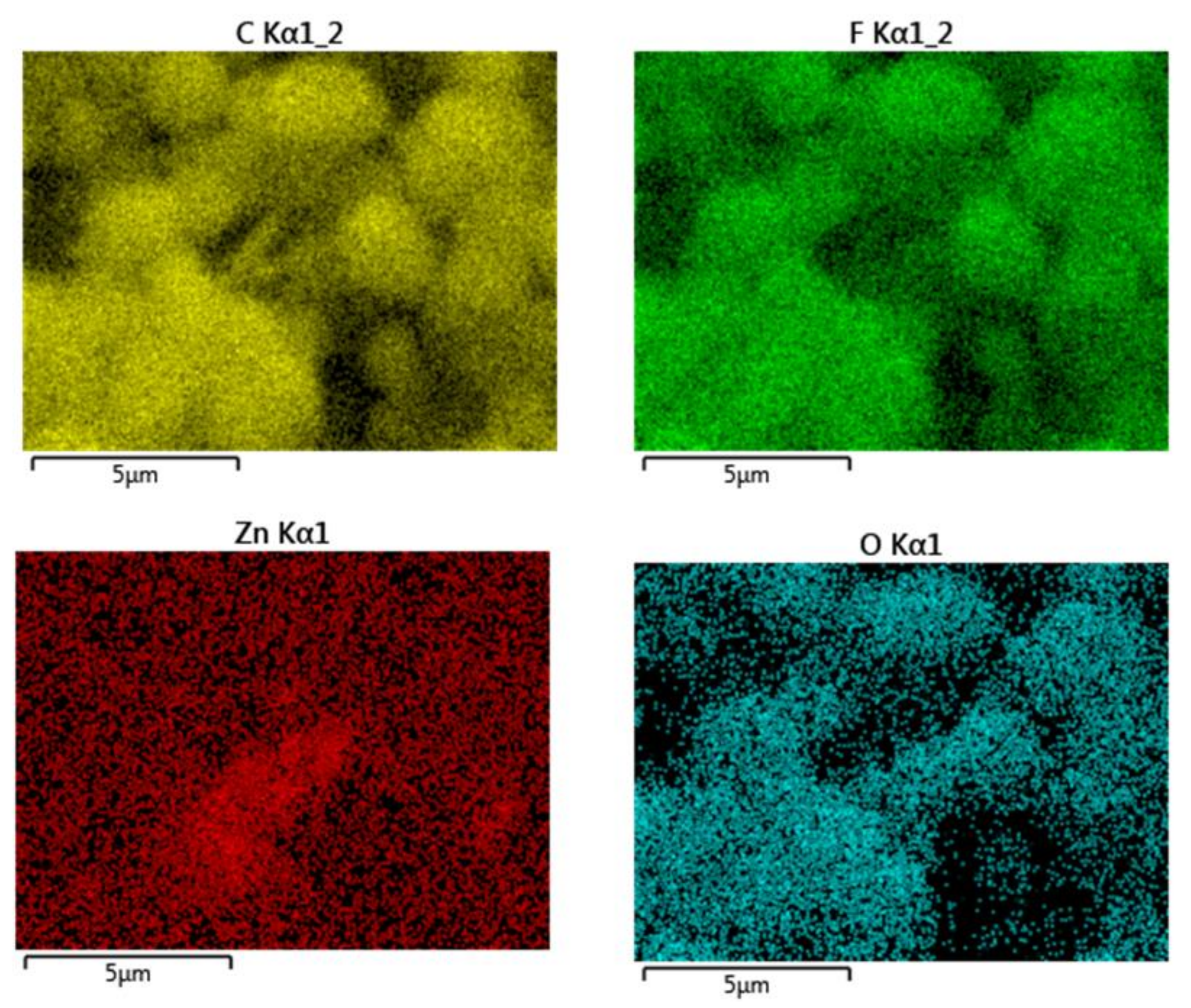 Coatings 13 00594 g005