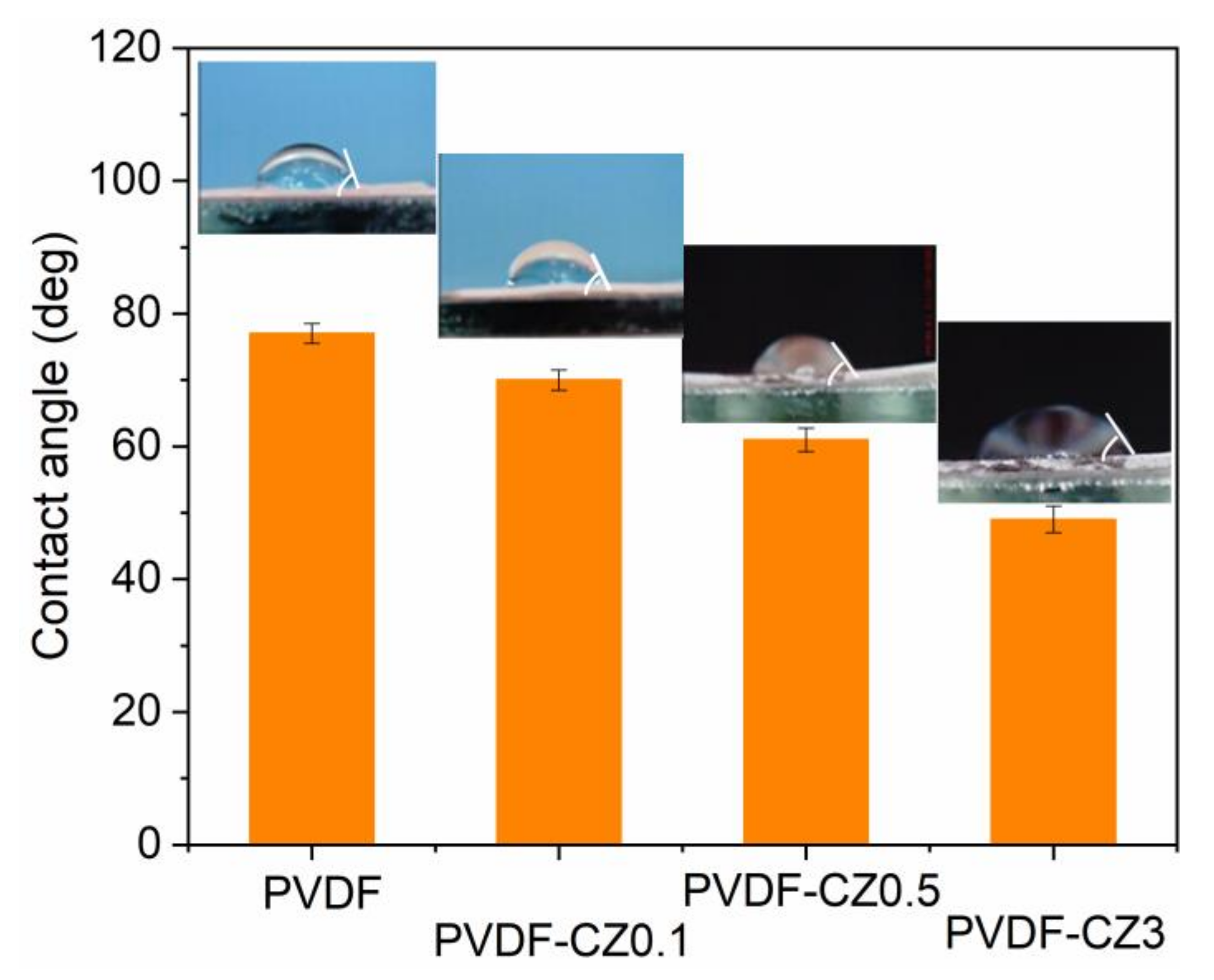 Coatings 13 00594 g007