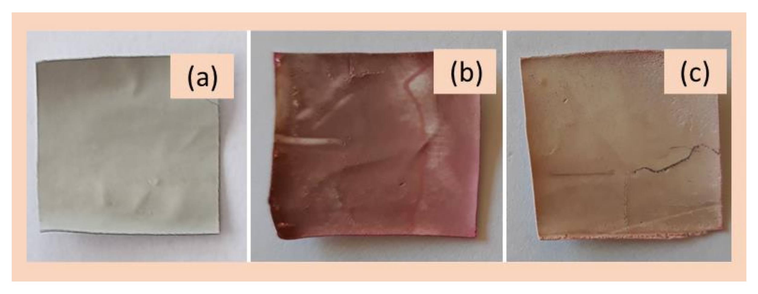 Coatings 13 00594 g011