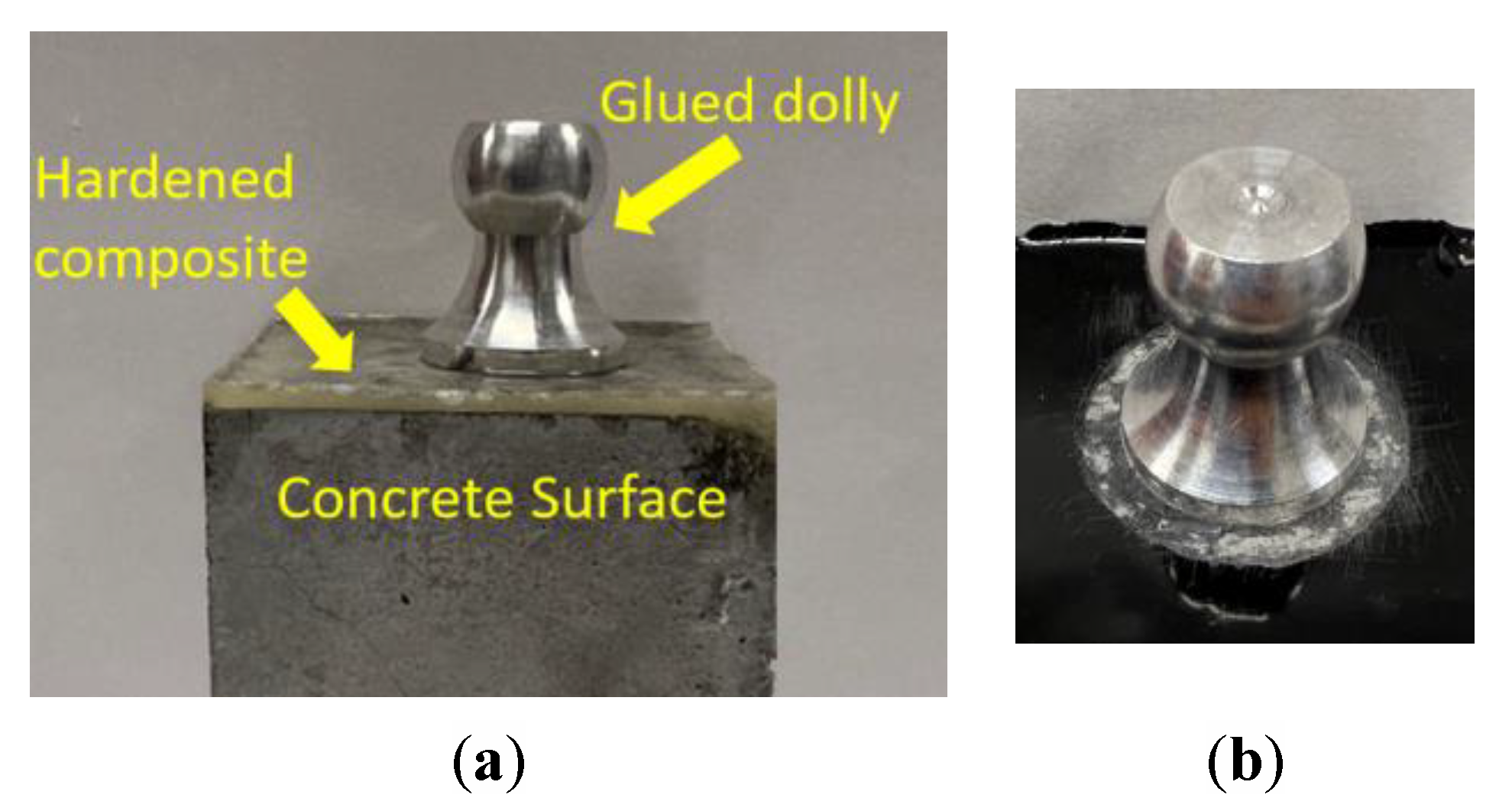 Coatings 13 00604 g003
