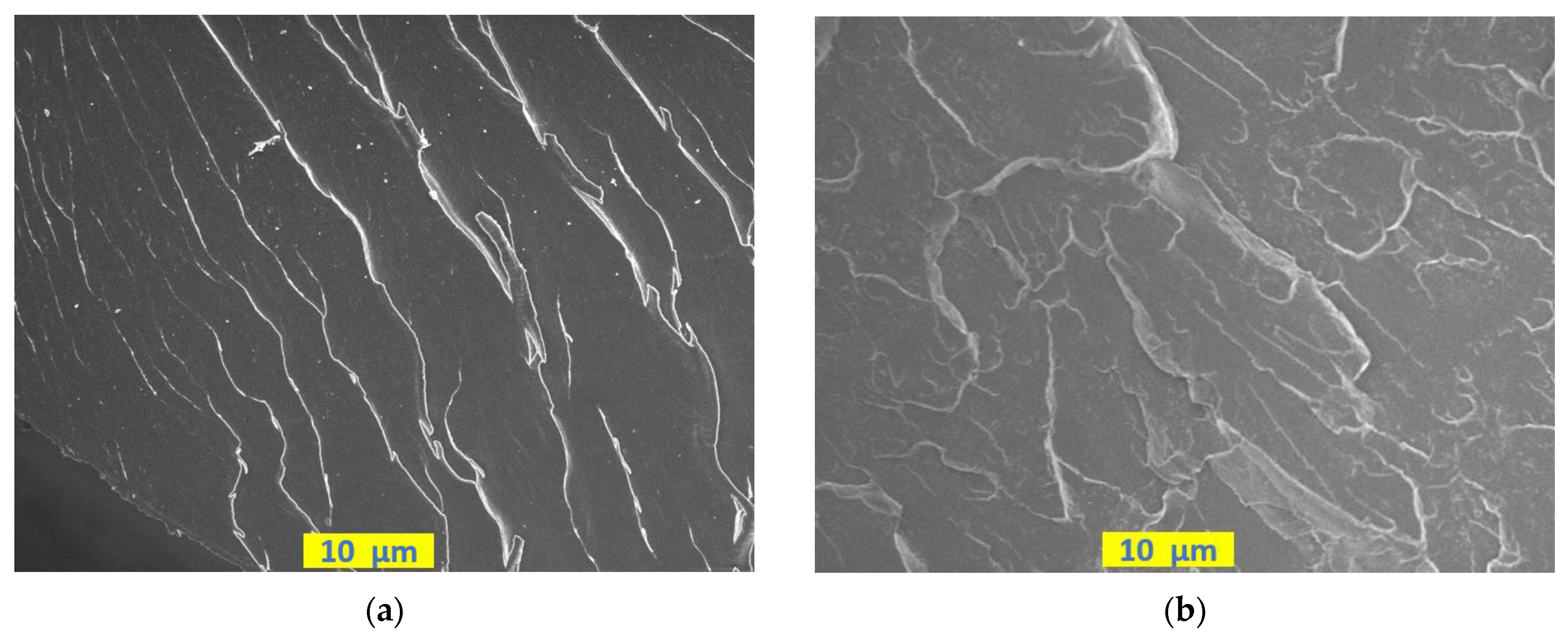 Coatings 13 00604 g009a