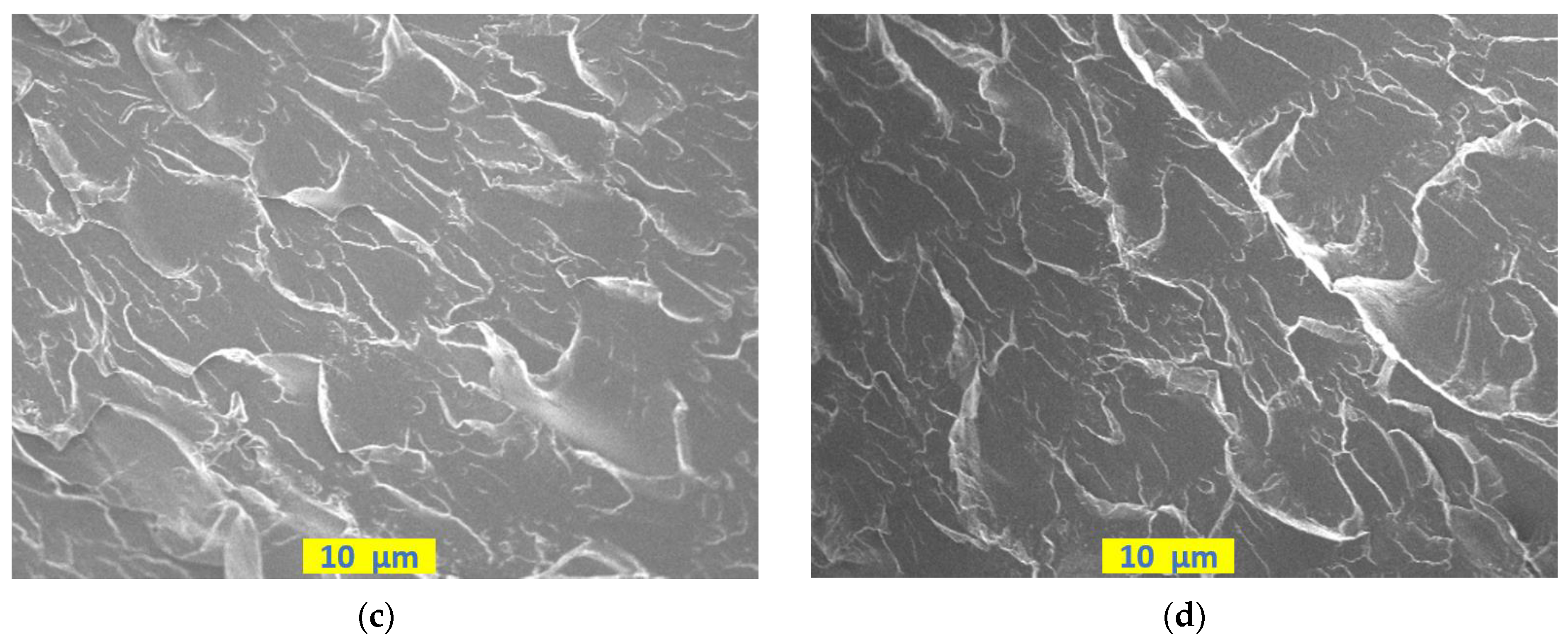 Coatings 13 00604 g009b