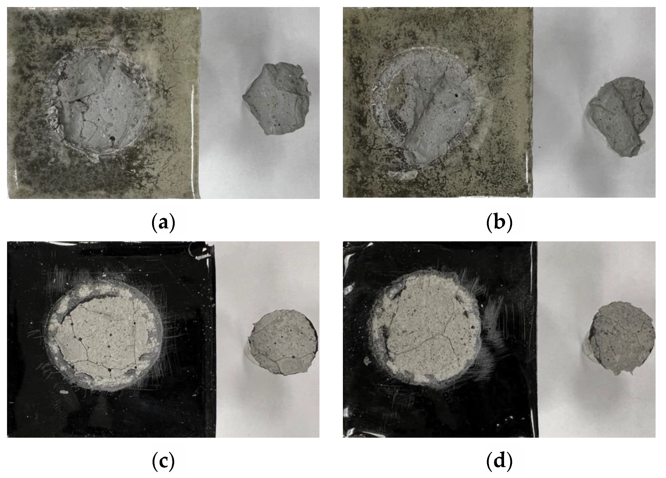 Coatings 13 00604 g013