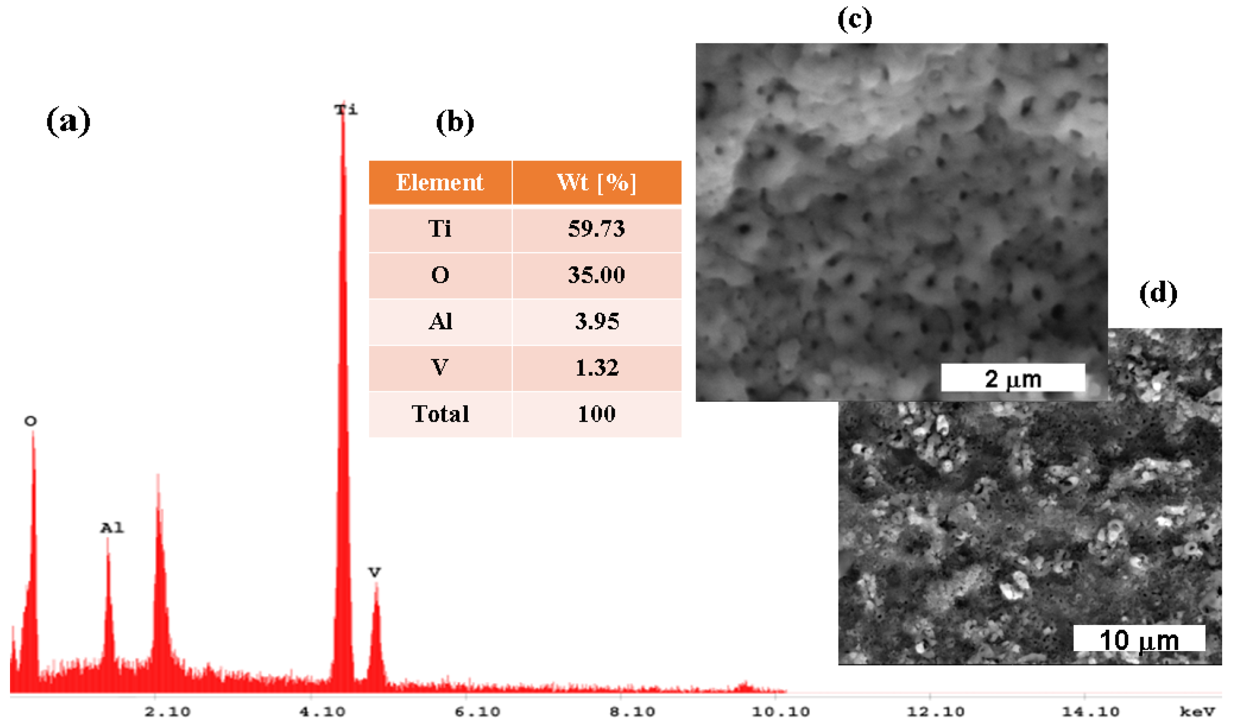 Coatings 13 00614 g004