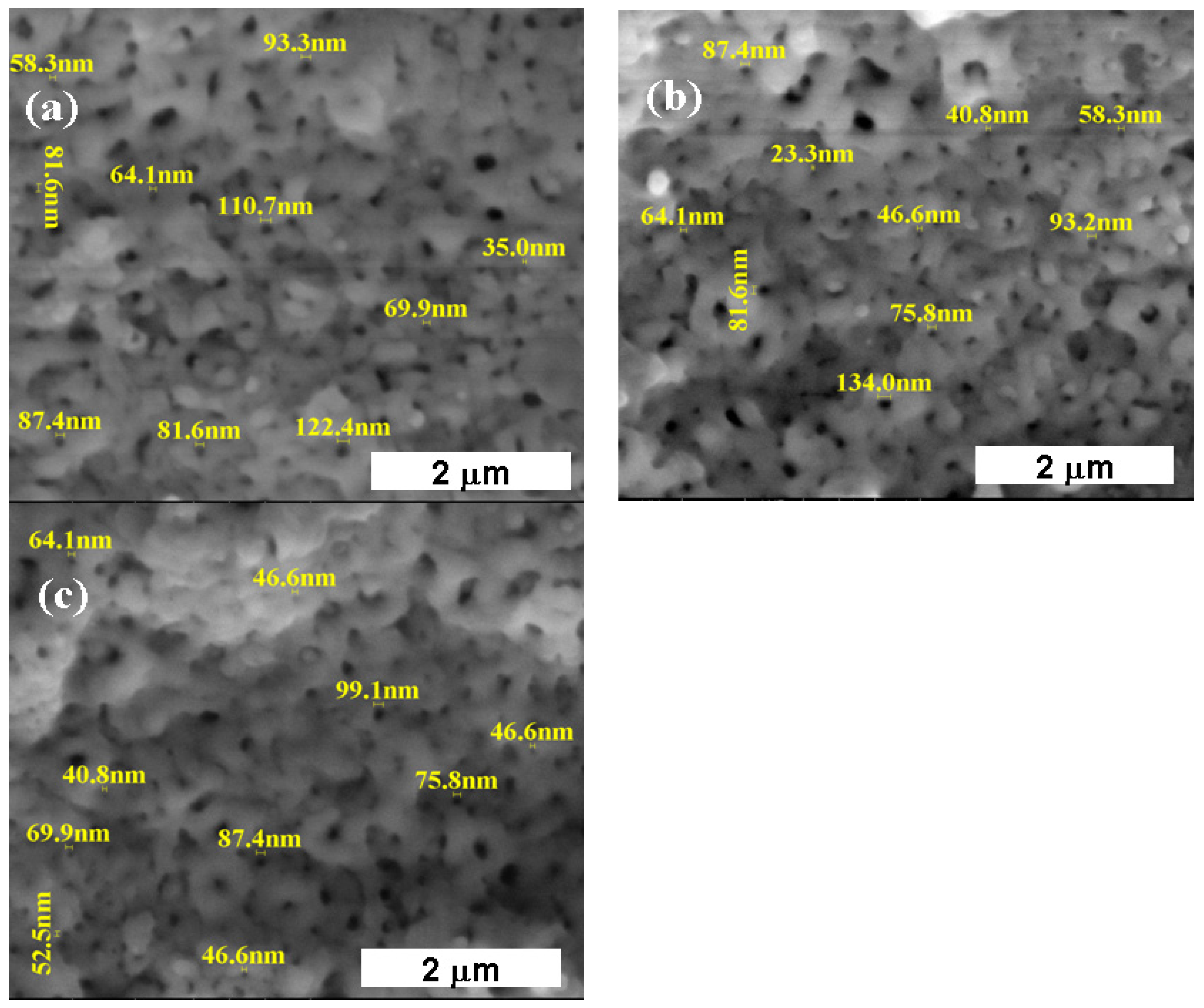Coatings 13 00614 g005