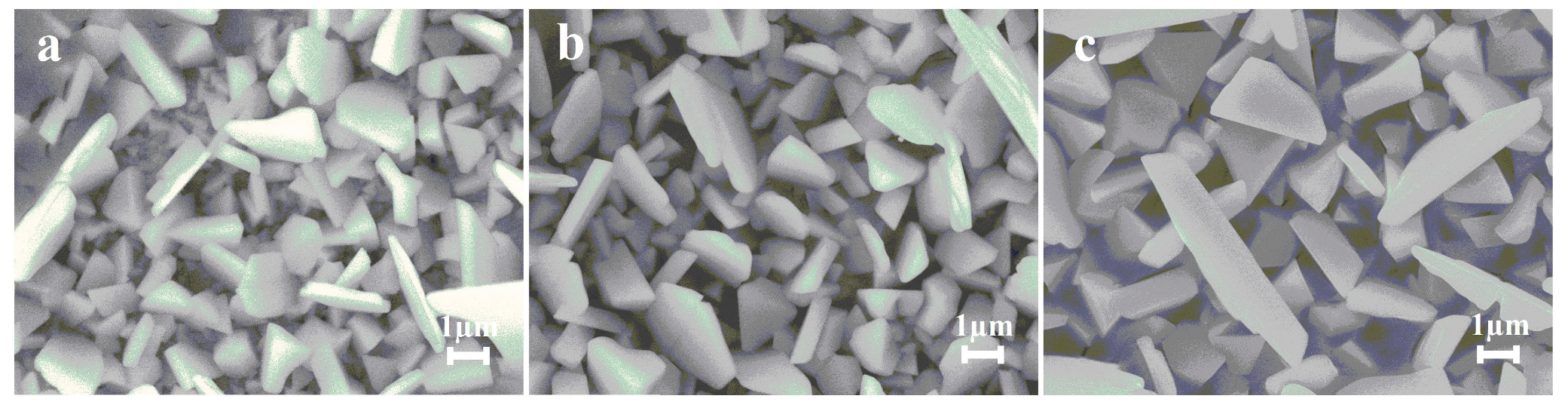 Coatings 13 00621 g004 Coatings 13 00621 g004