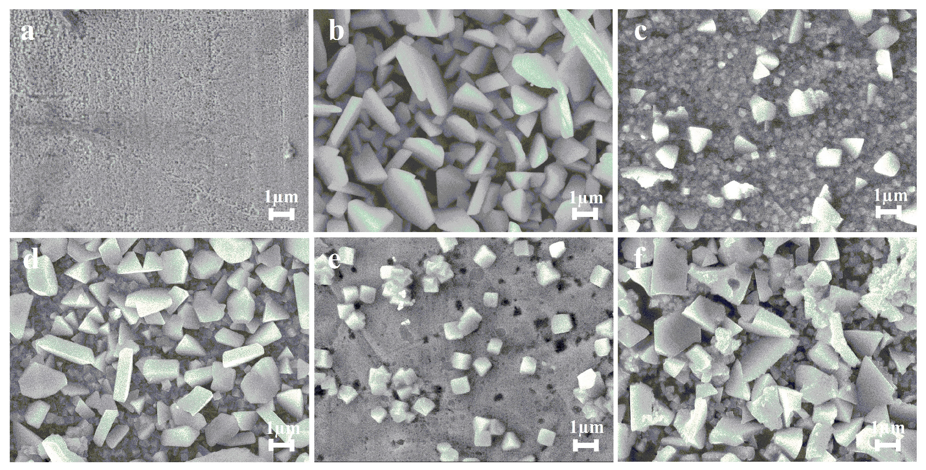 Coatings 13 00621 g008 Coatings 13 00621 g008