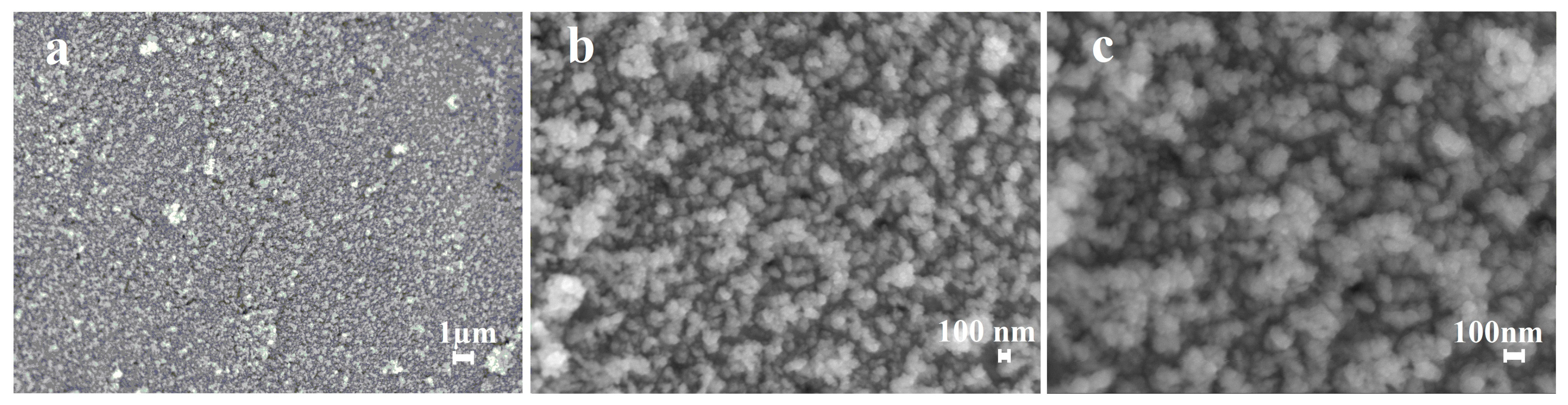 Coatings 13 00621 g010 Coatings 13 00621 g010