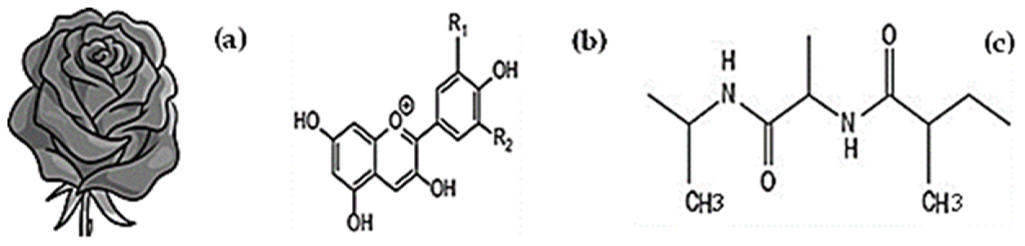 Coatings 13 00623 g001 Coatings 13 00623 g001