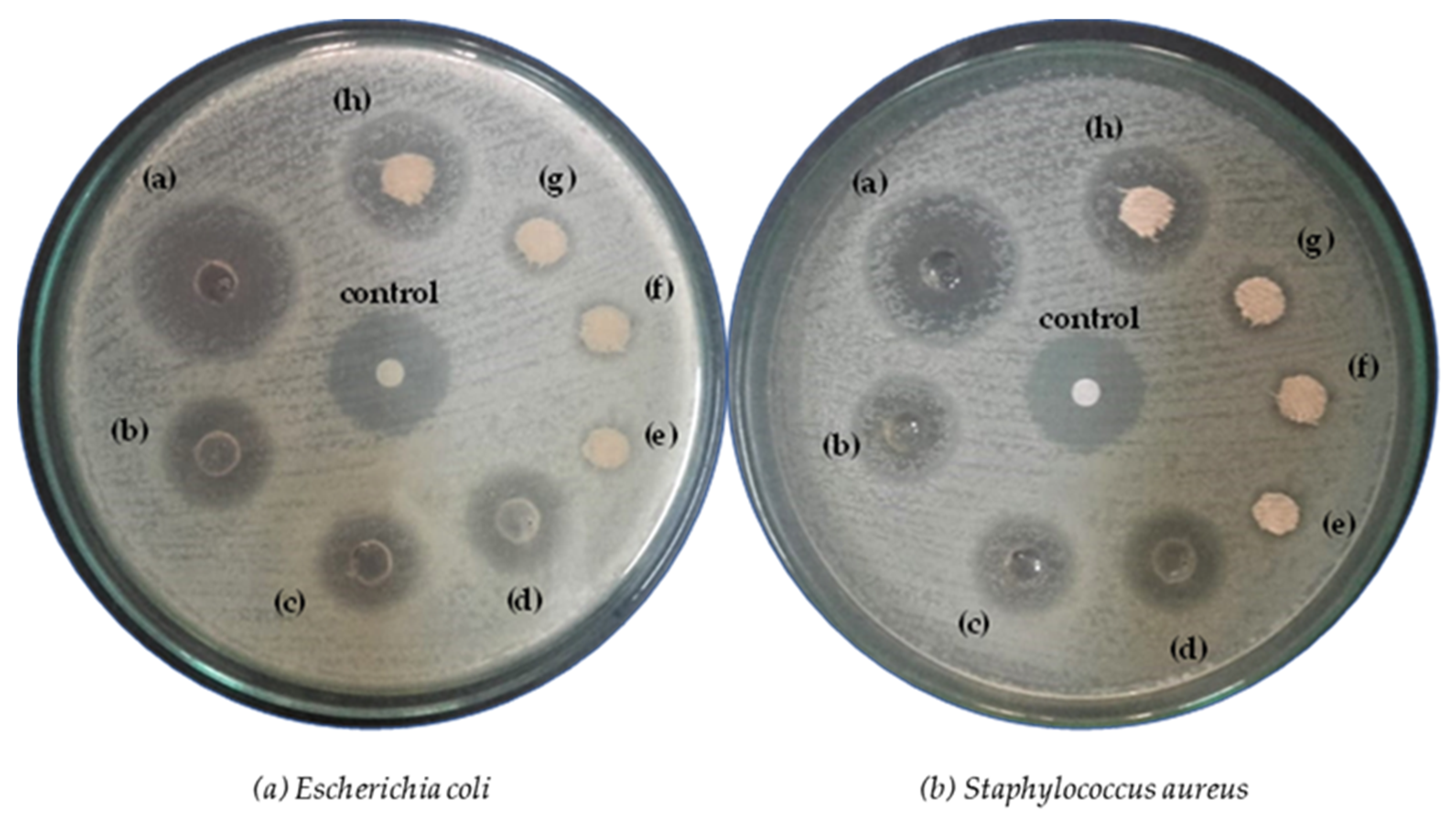 Coatings 13 00623 g003 Coatings 13 00623 g003