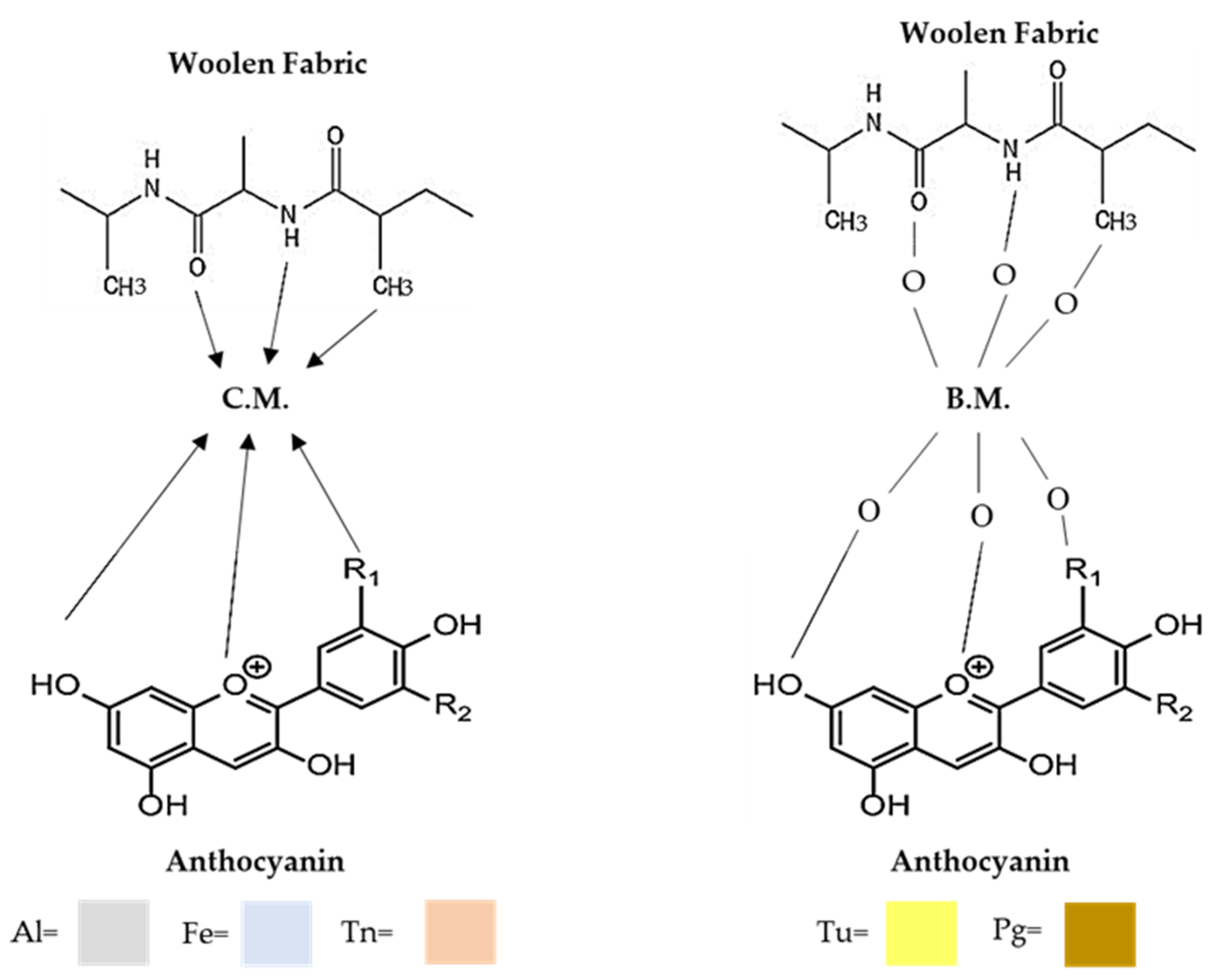 Coatings 13 00623 g009 Coatings 13 00623 g009