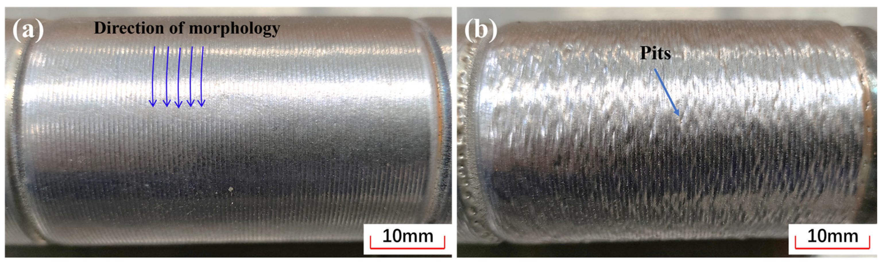 Coatings 13 00625 g007