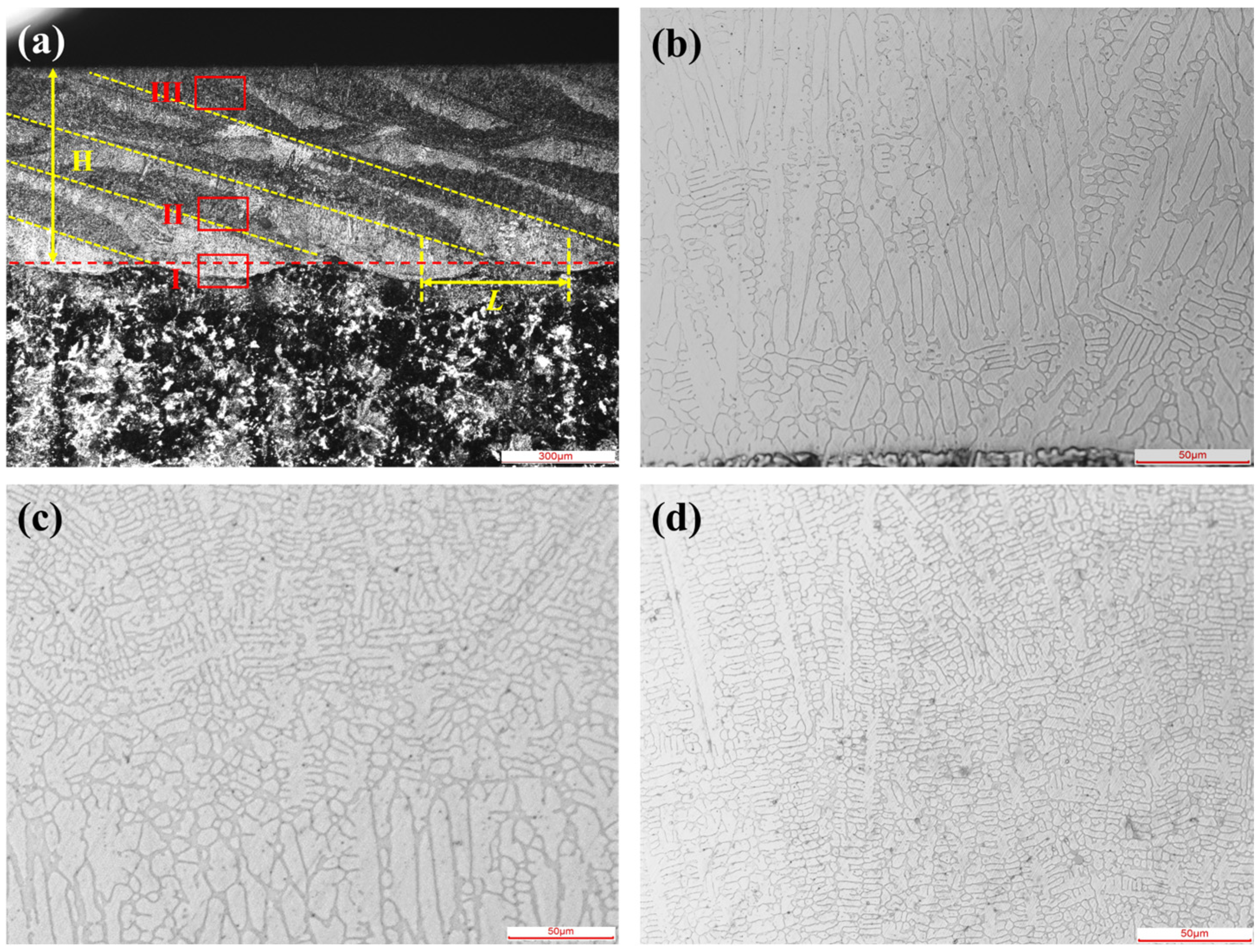 Coatings 13 00625 g010