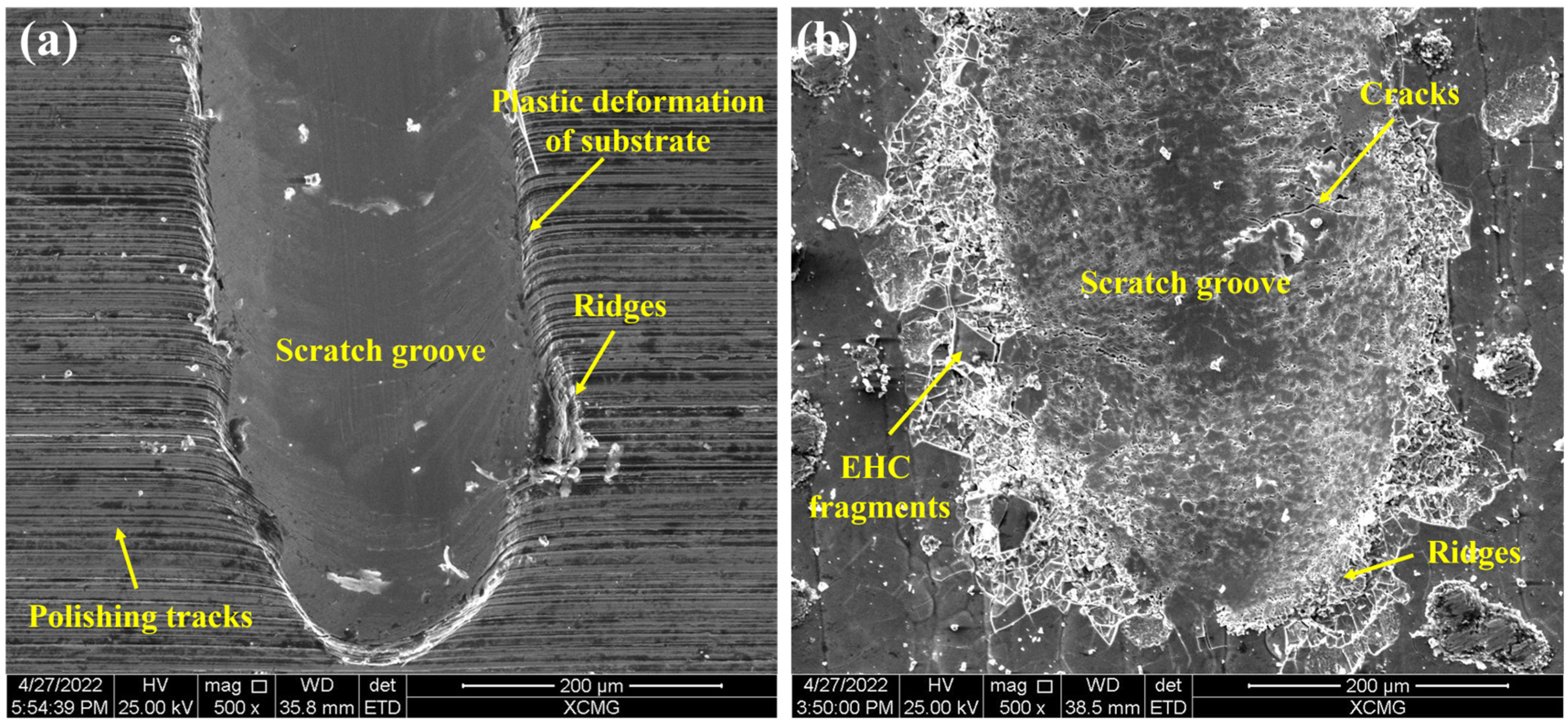 Coatings 13 00625 g013