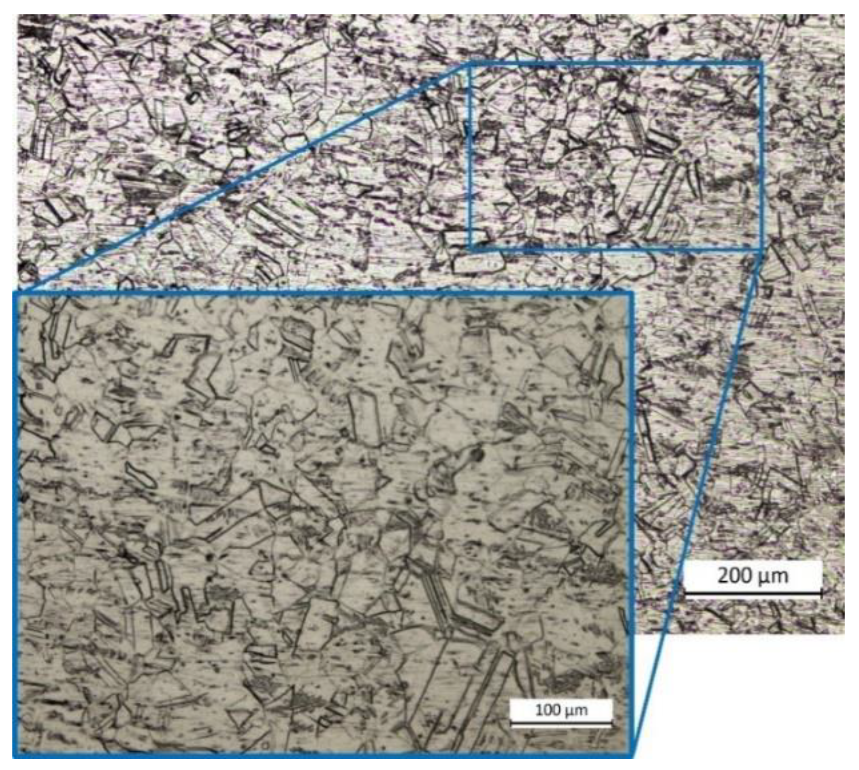 Coatings 13 00636 g007