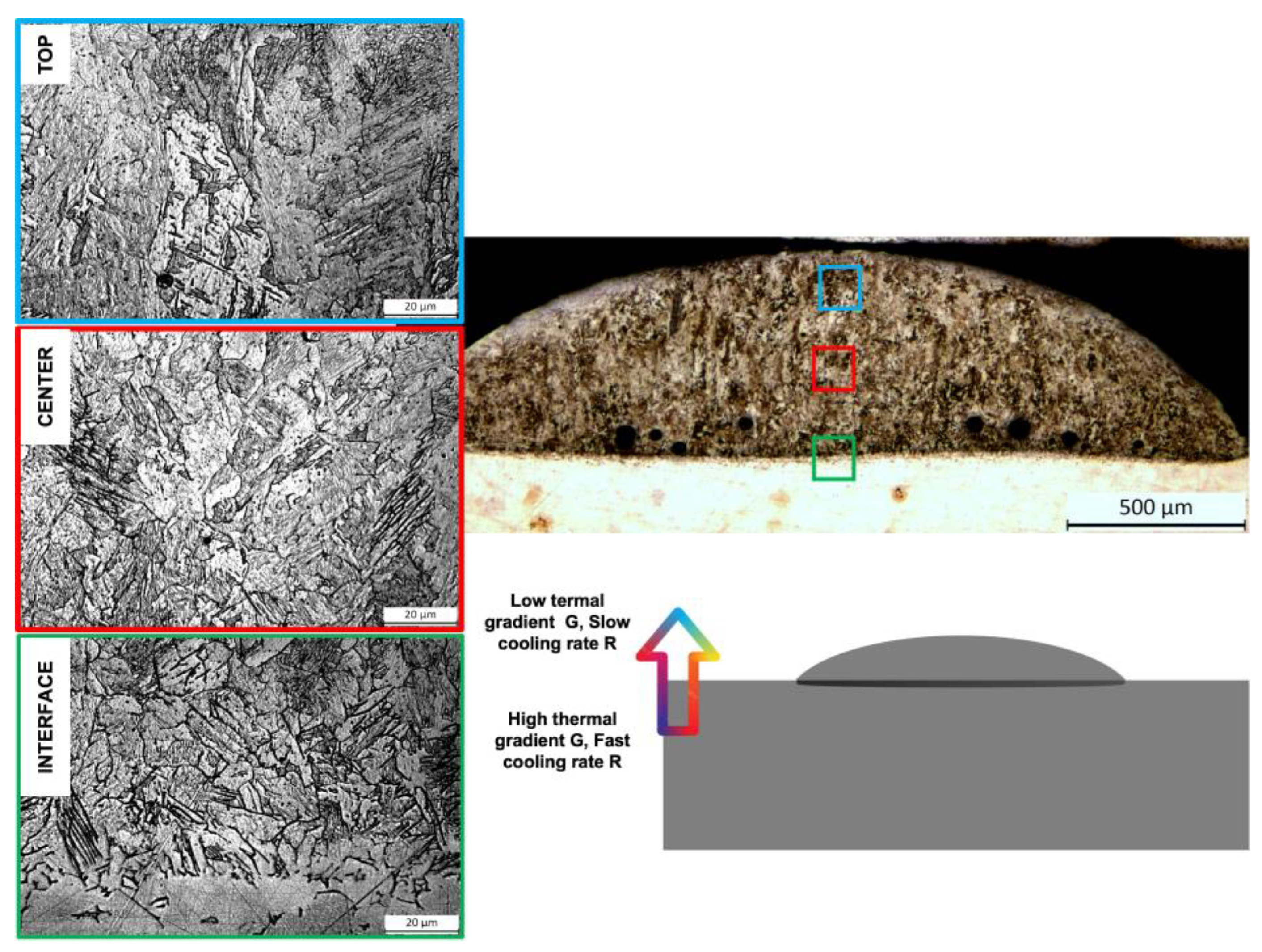Coatings 13 00636 g008