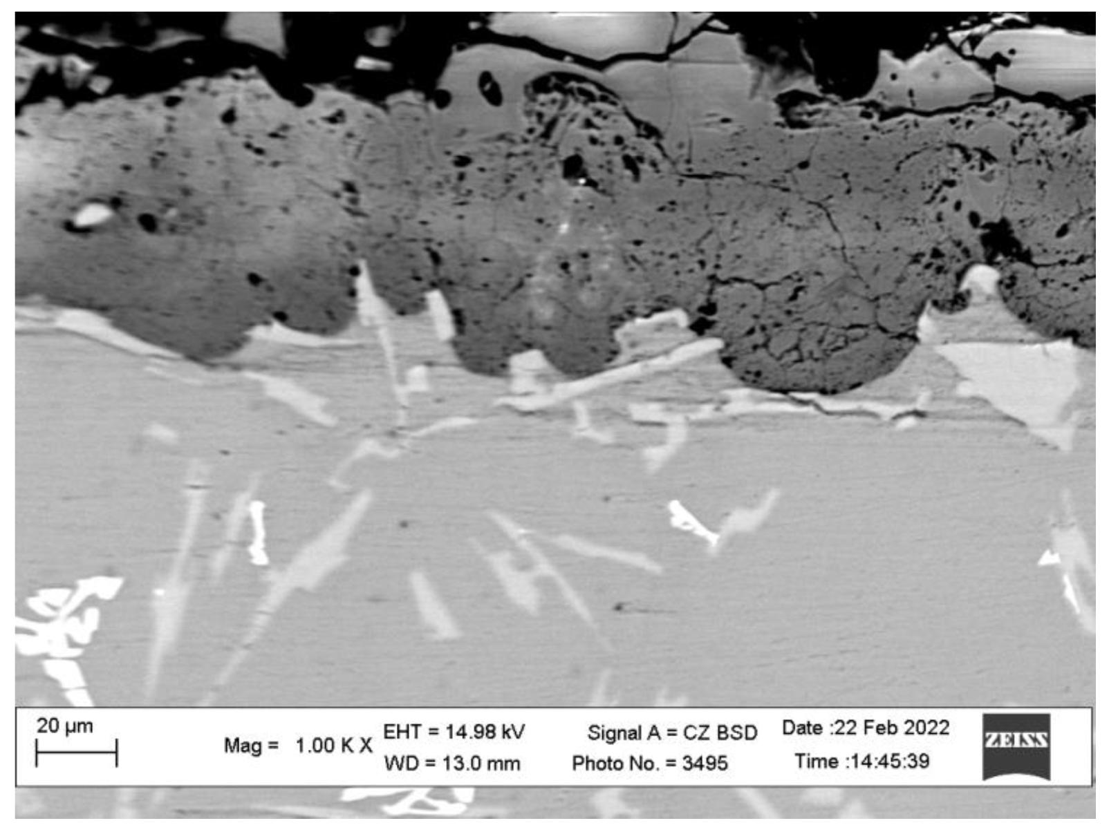 Coatings 13 00637 g010 Coatings 13 00637 g010