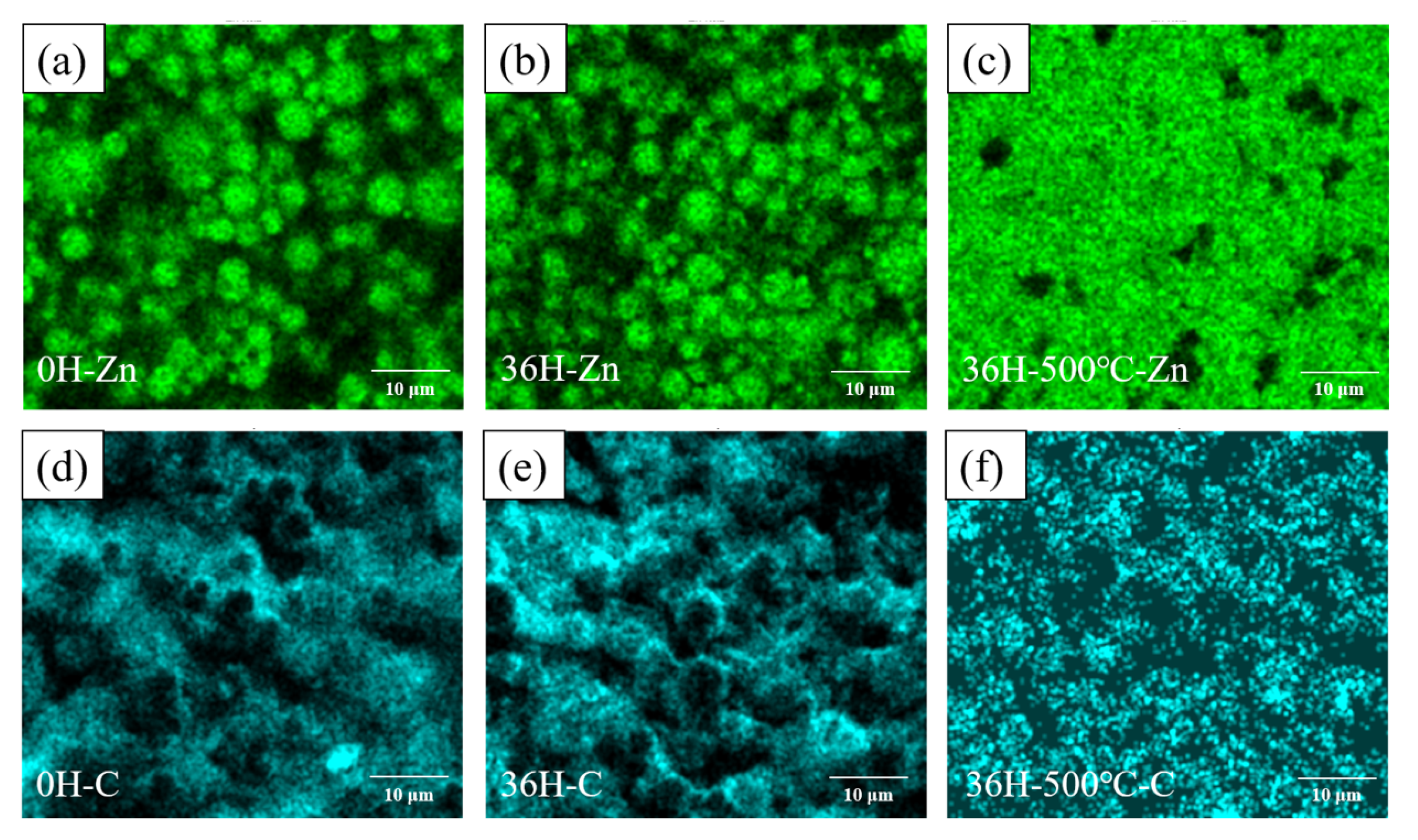 Coatings 13 00652 g010