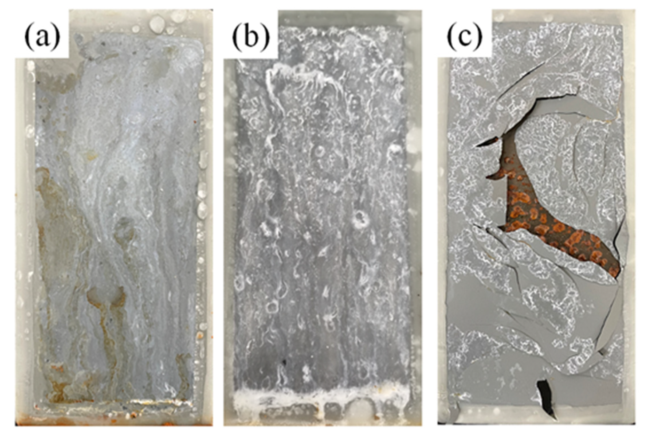 Coatings 13 00652 g013