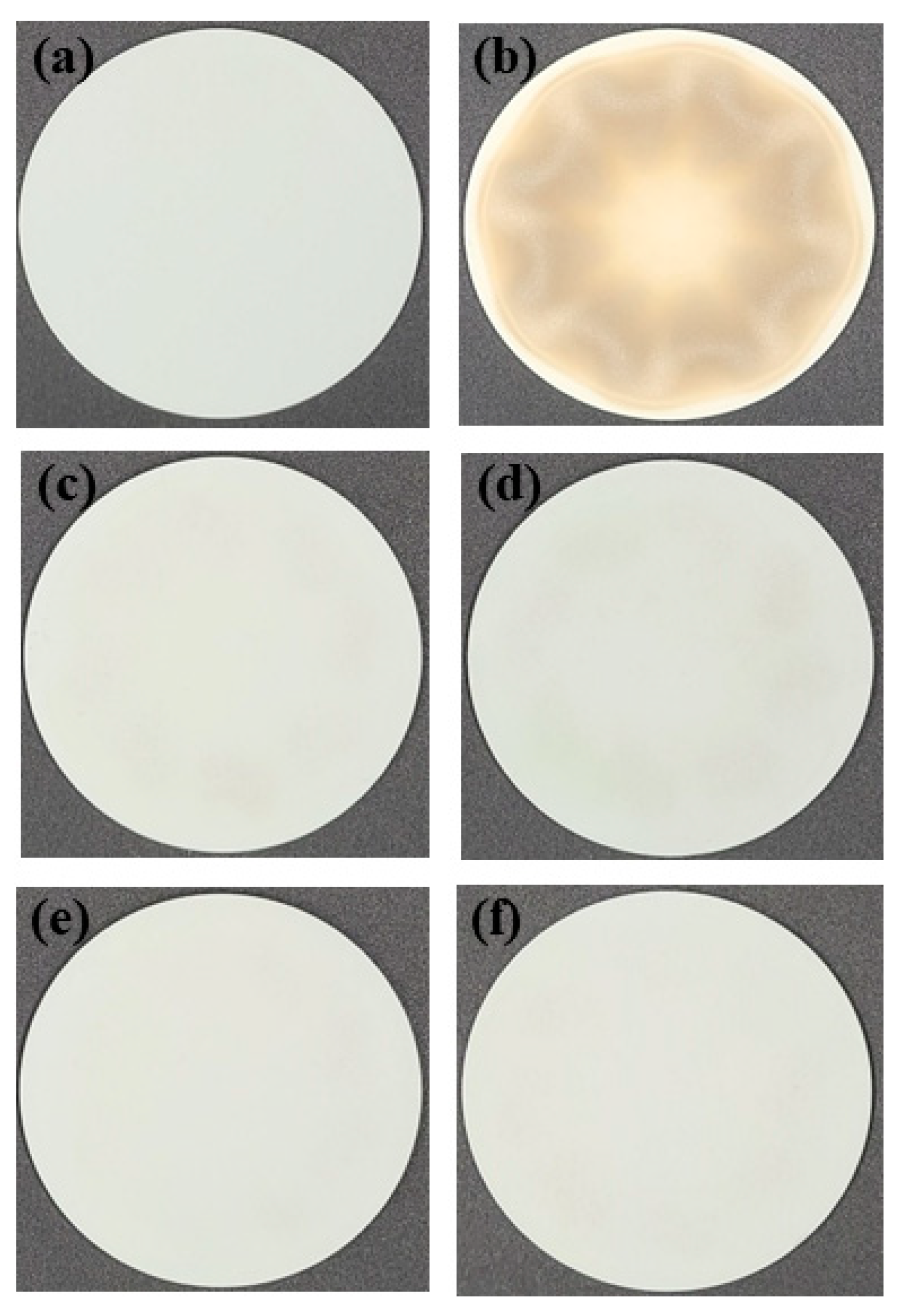 Coatings 13 00653 g004