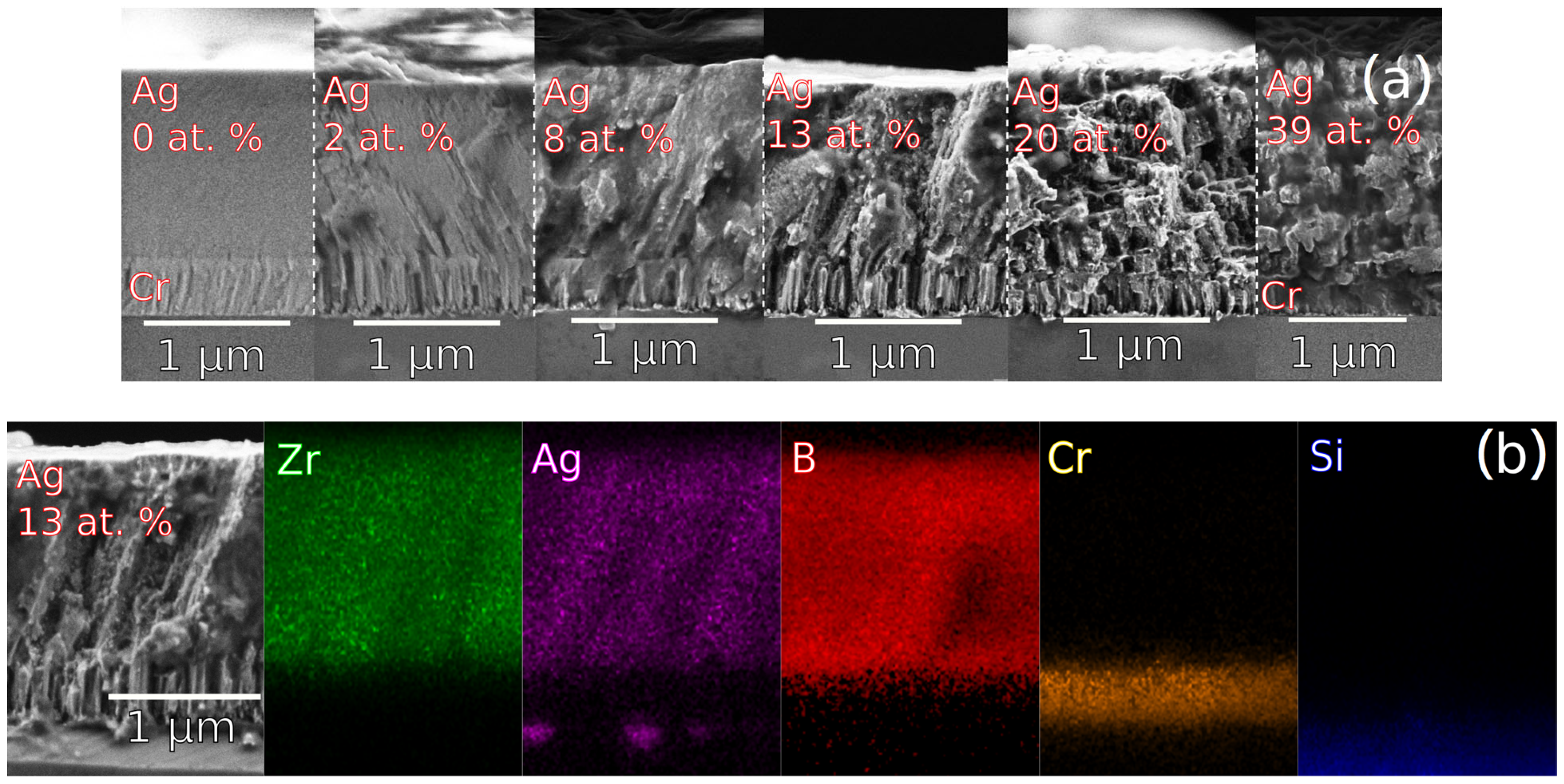 Coatings 13 00663 g002
