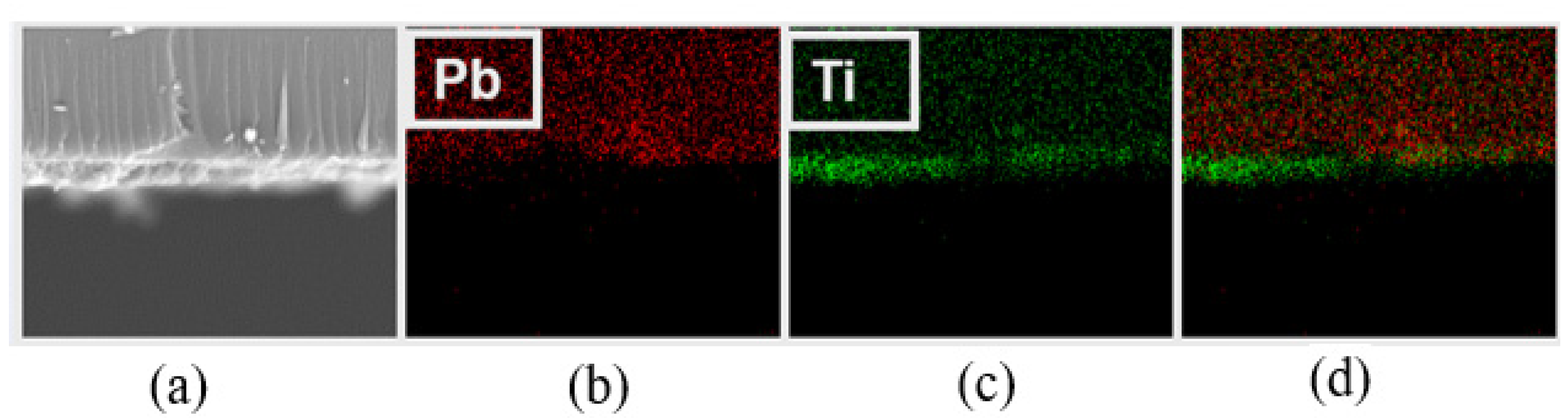 Coatings 13 00669 g004 Coatings 13 00669 g004