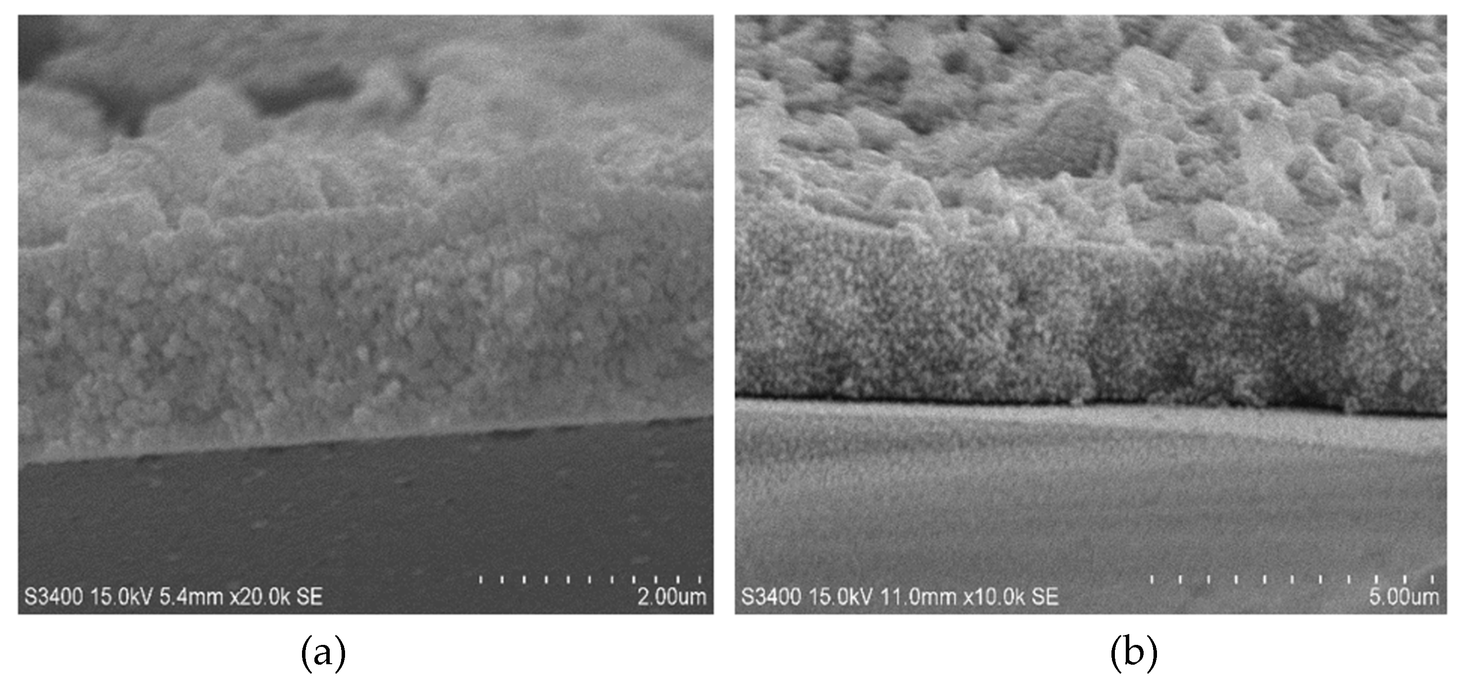 Coatings 13 00669 g006 Coatings 13 00669 g006