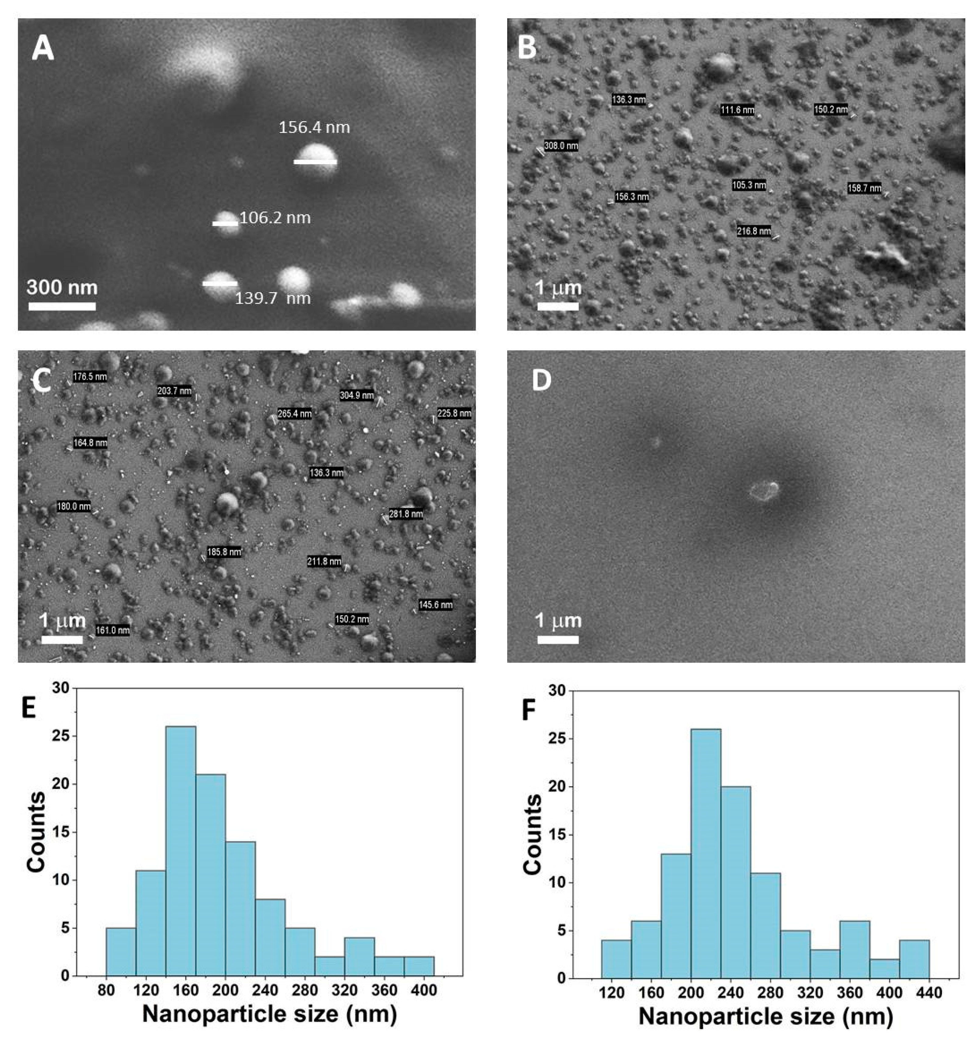 Coatings 13 00671 g005 Coatings 13 00671 g005