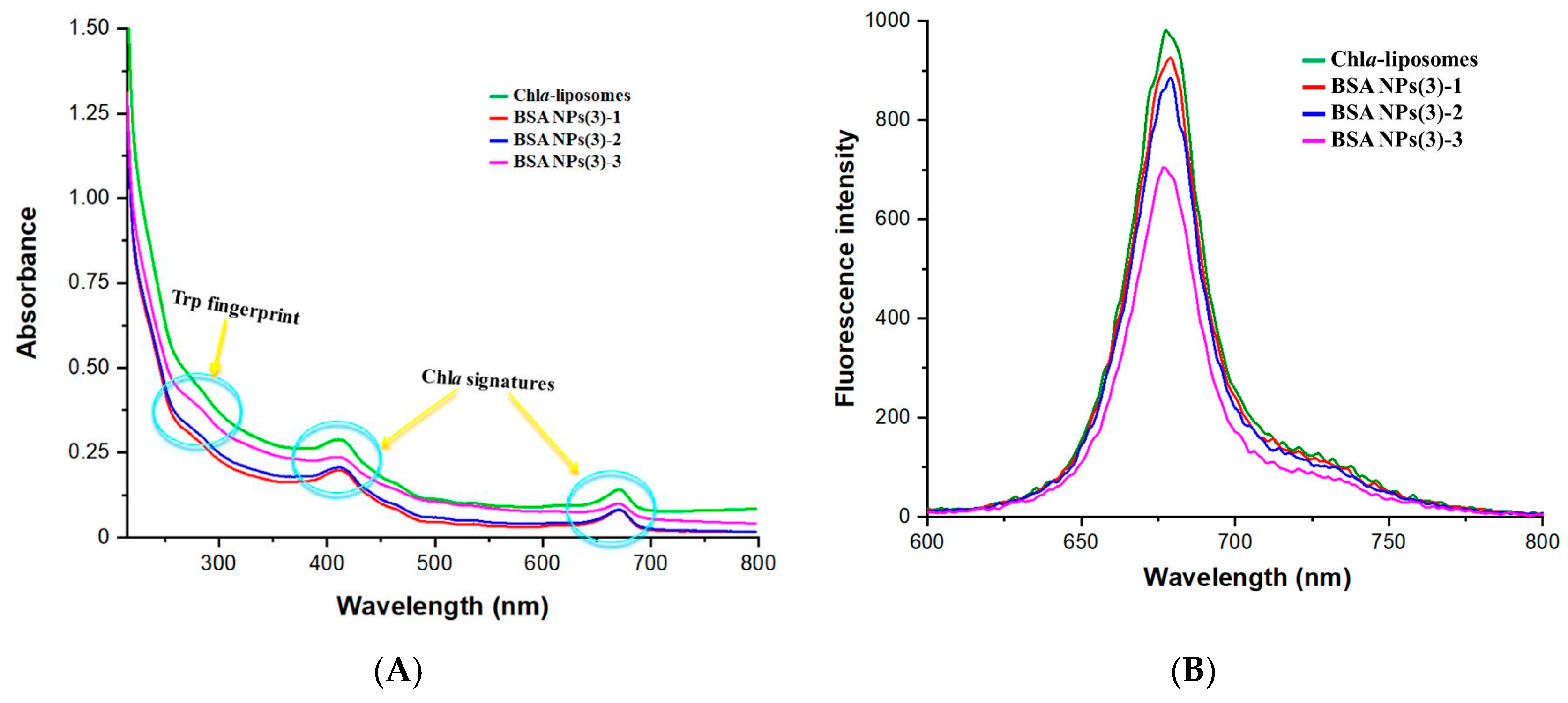 Coatings 13 00671 g006 Coatings 13 00671 g006