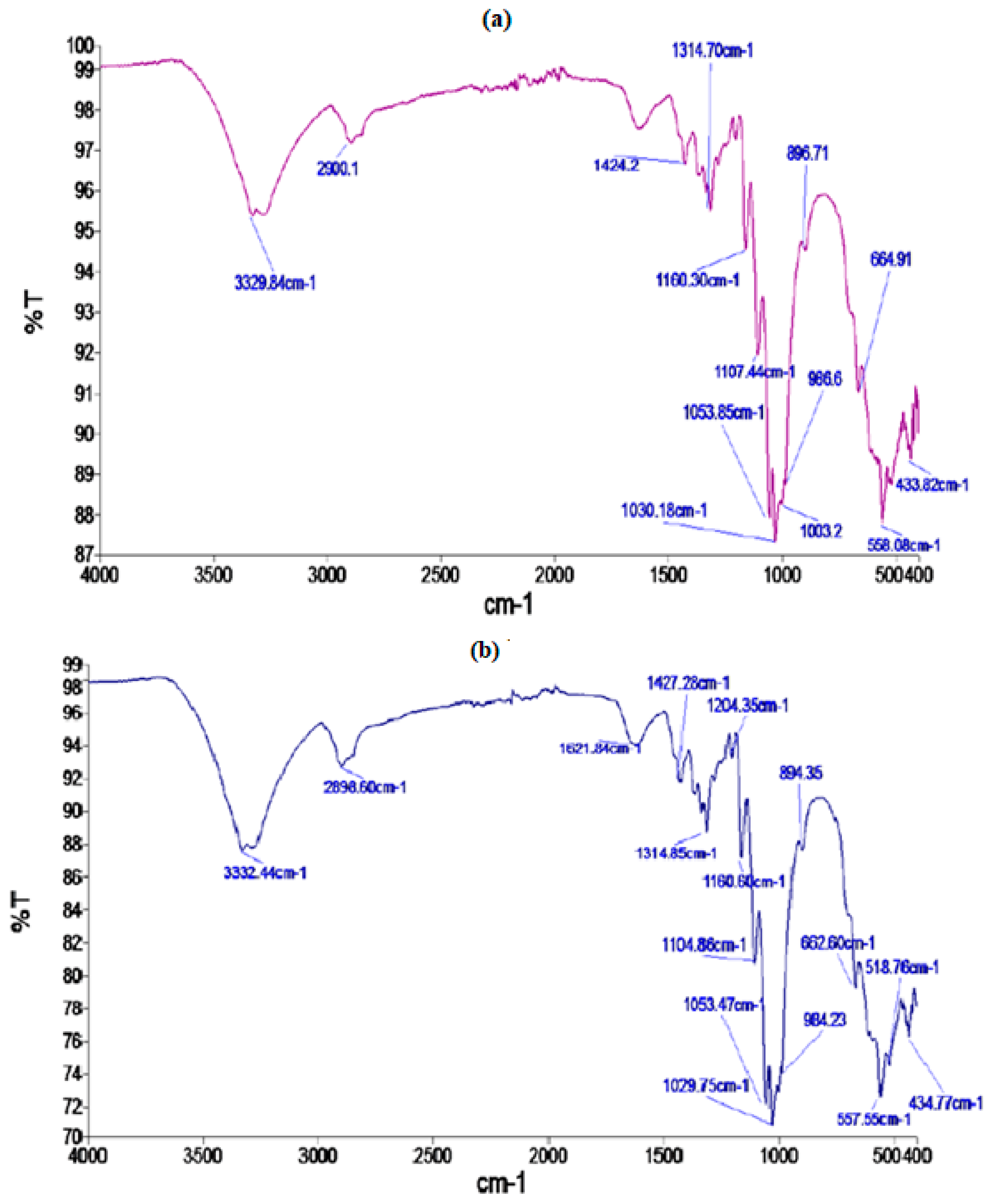 Coatings 13 00677 g003