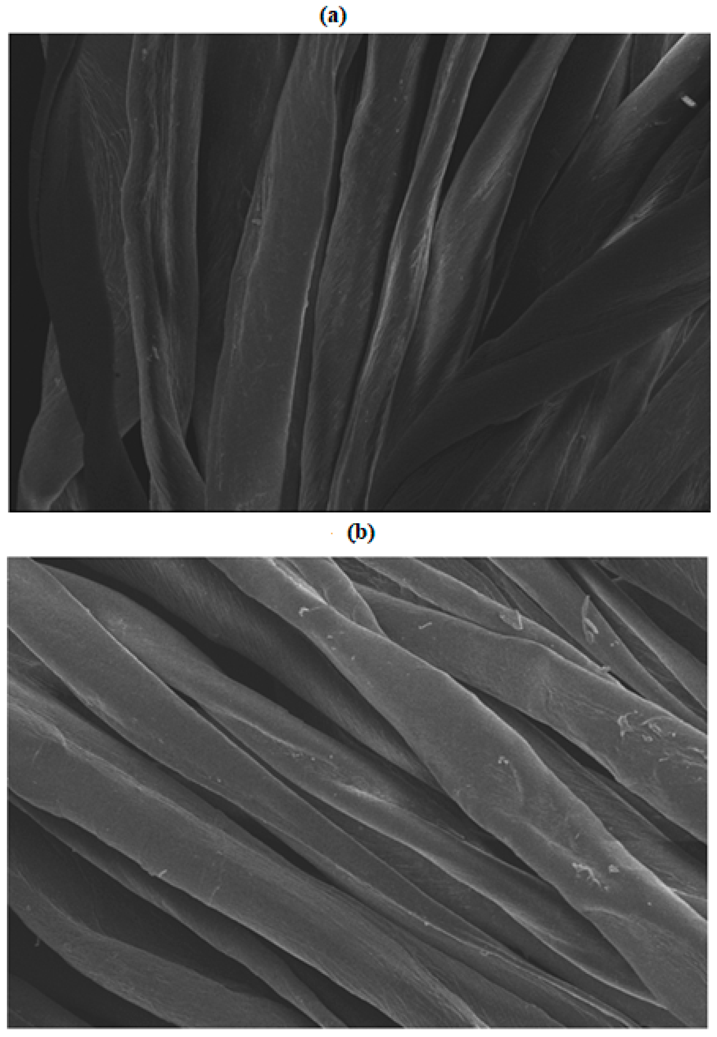 Coatings 13 00677 g004