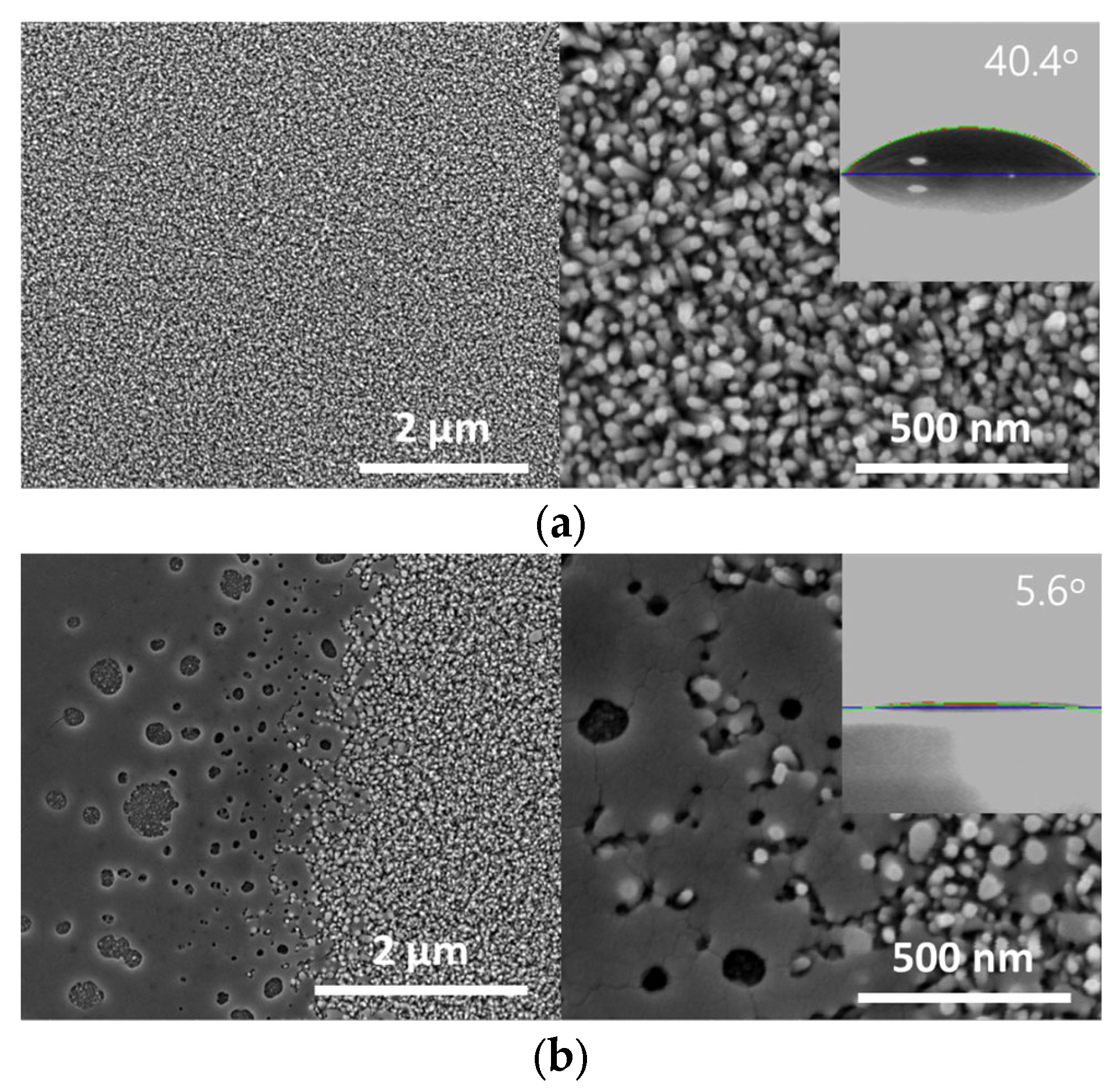 Coatings 13 00683 g002 Coatings 13 00683 g002