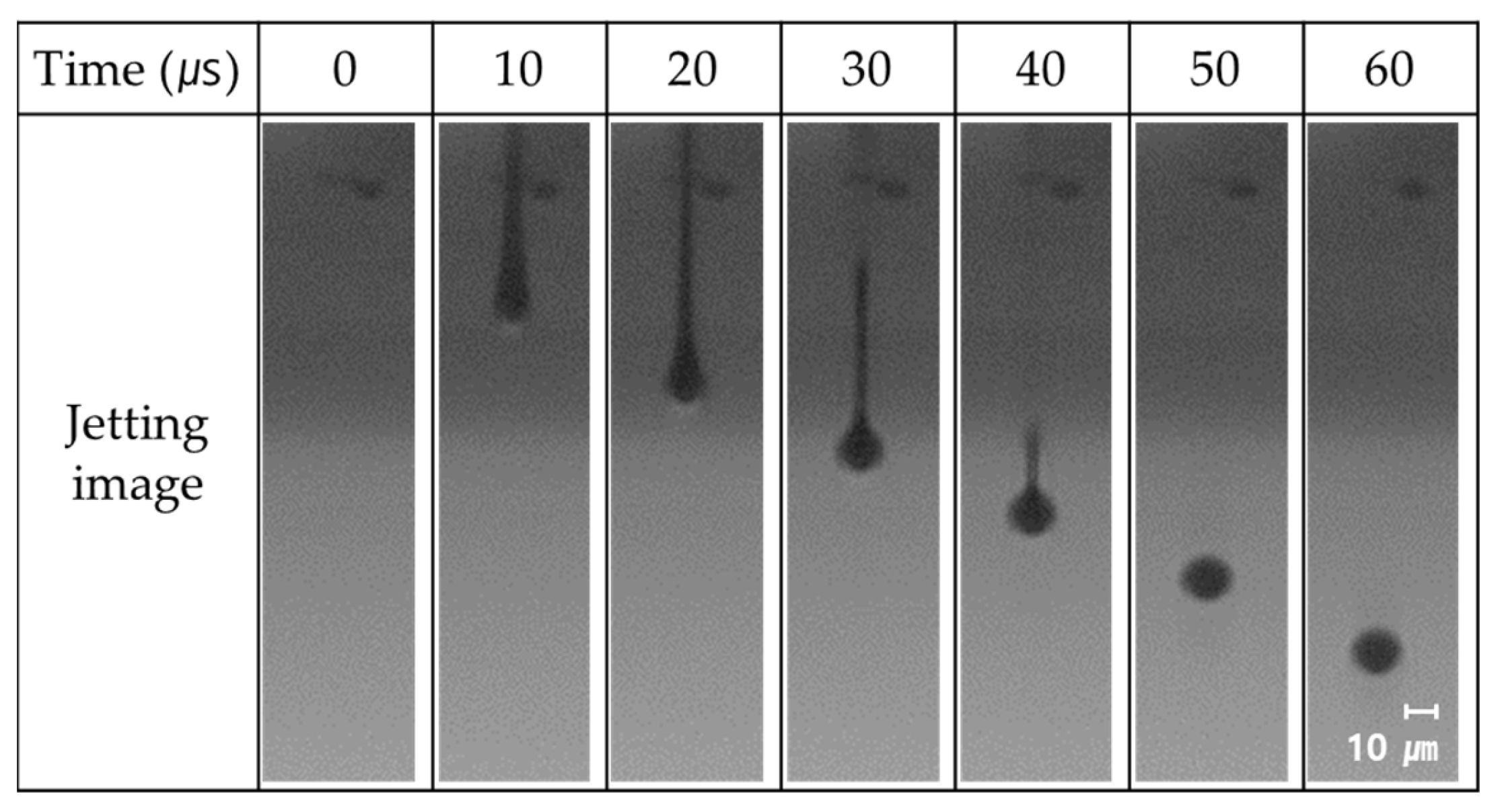 Coatings 13 00683 g003 Coatings 13 00683 g003