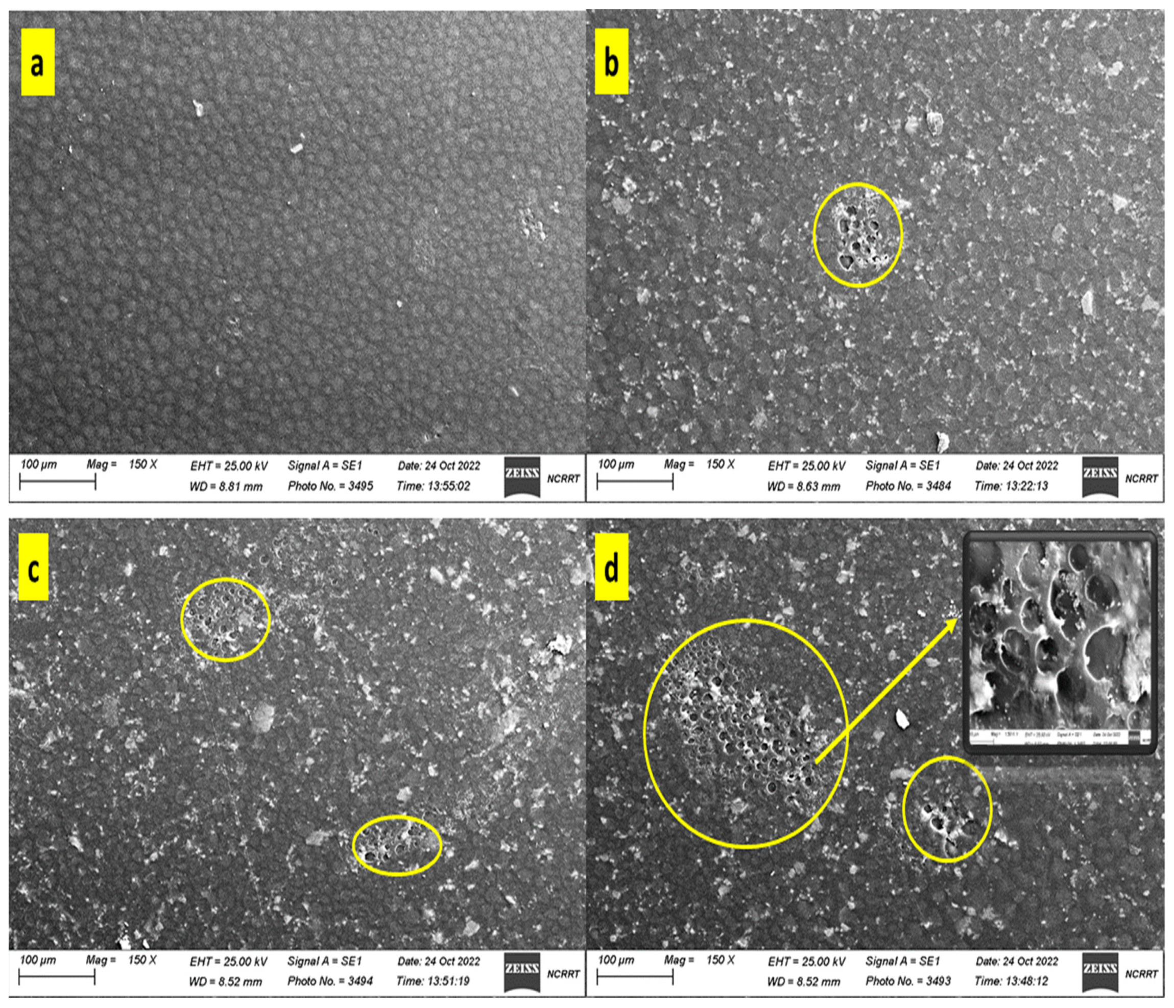 Coatings 13 00699 g001