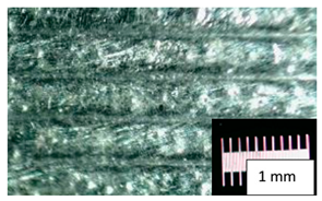 Coatings 13 00701 i039