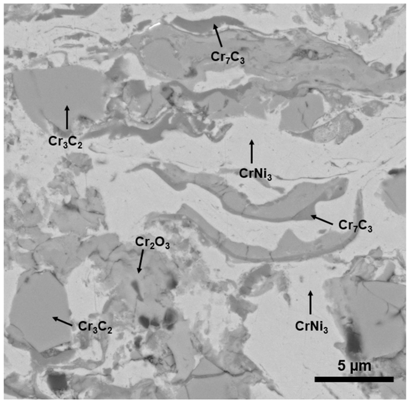 Coatings 13 00720 g005