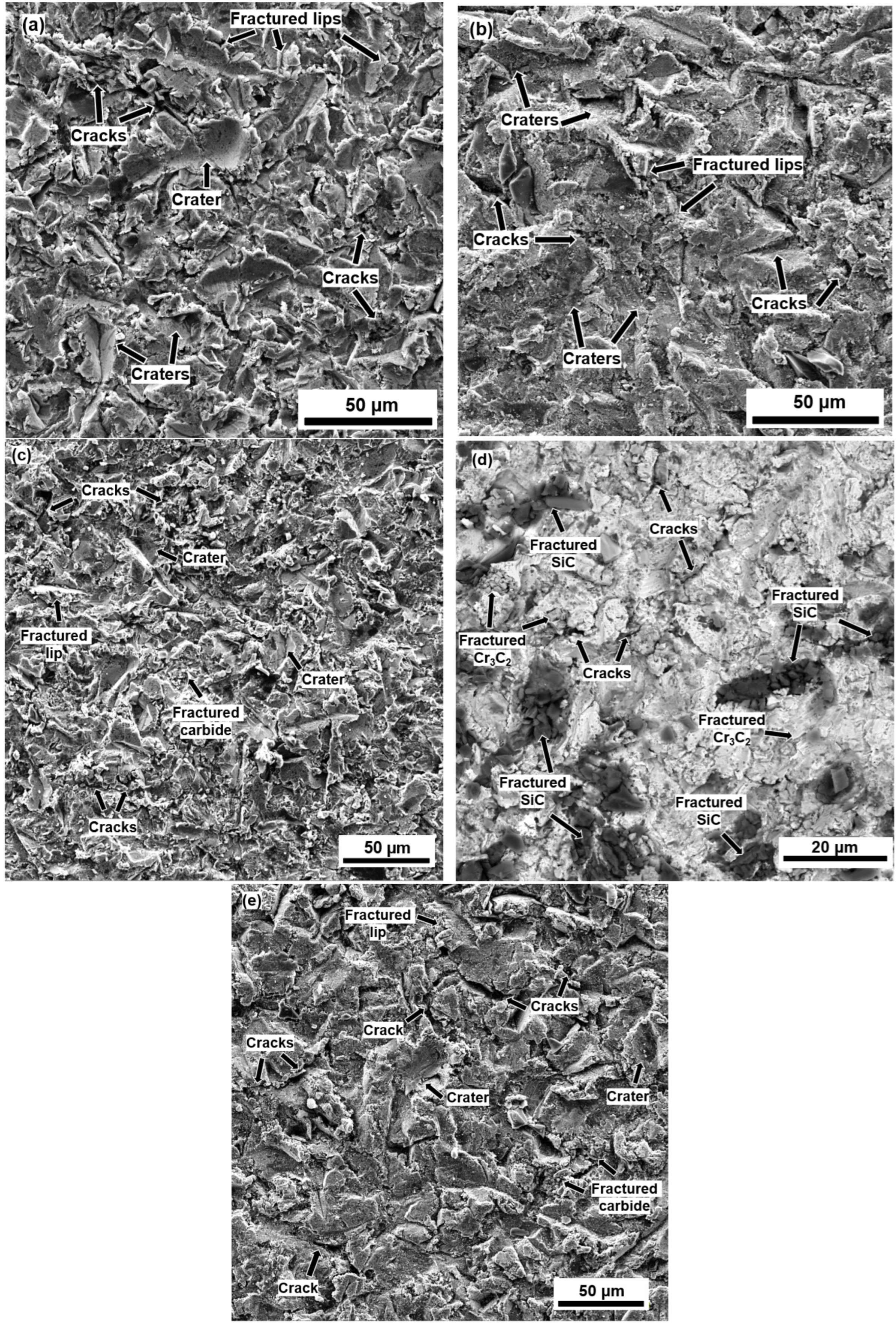 Coatings 13 00720 g012