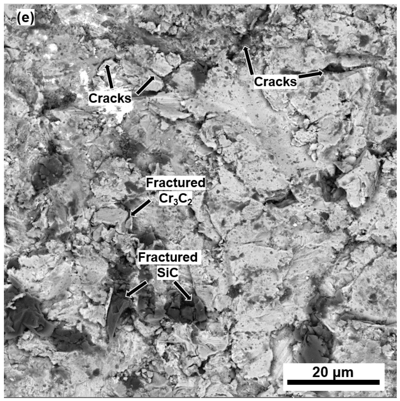 Coatings 13 00720 g013b