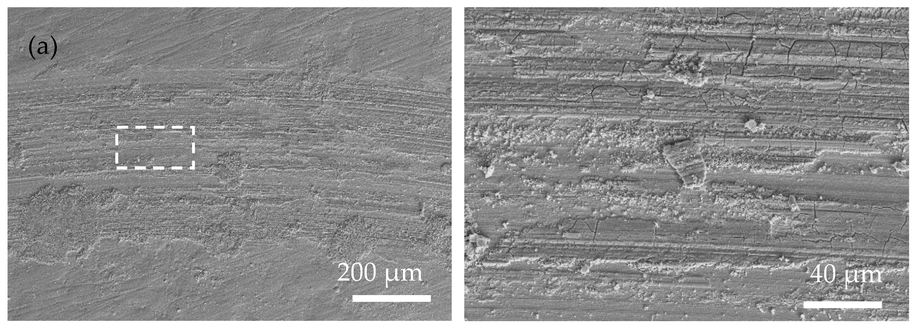 Coatings 13 00723 g006a Coatings 13 00723 g006a