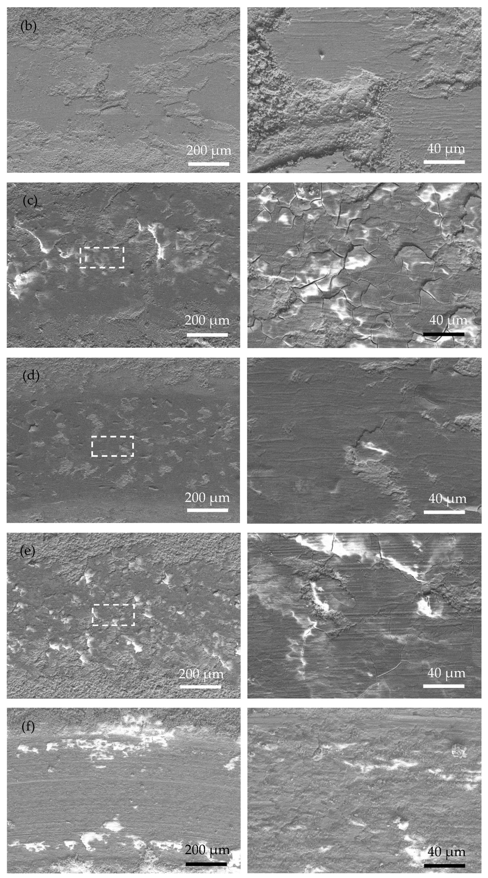 Coatings 13 00723 g006b Coatings 13 00723 g006b