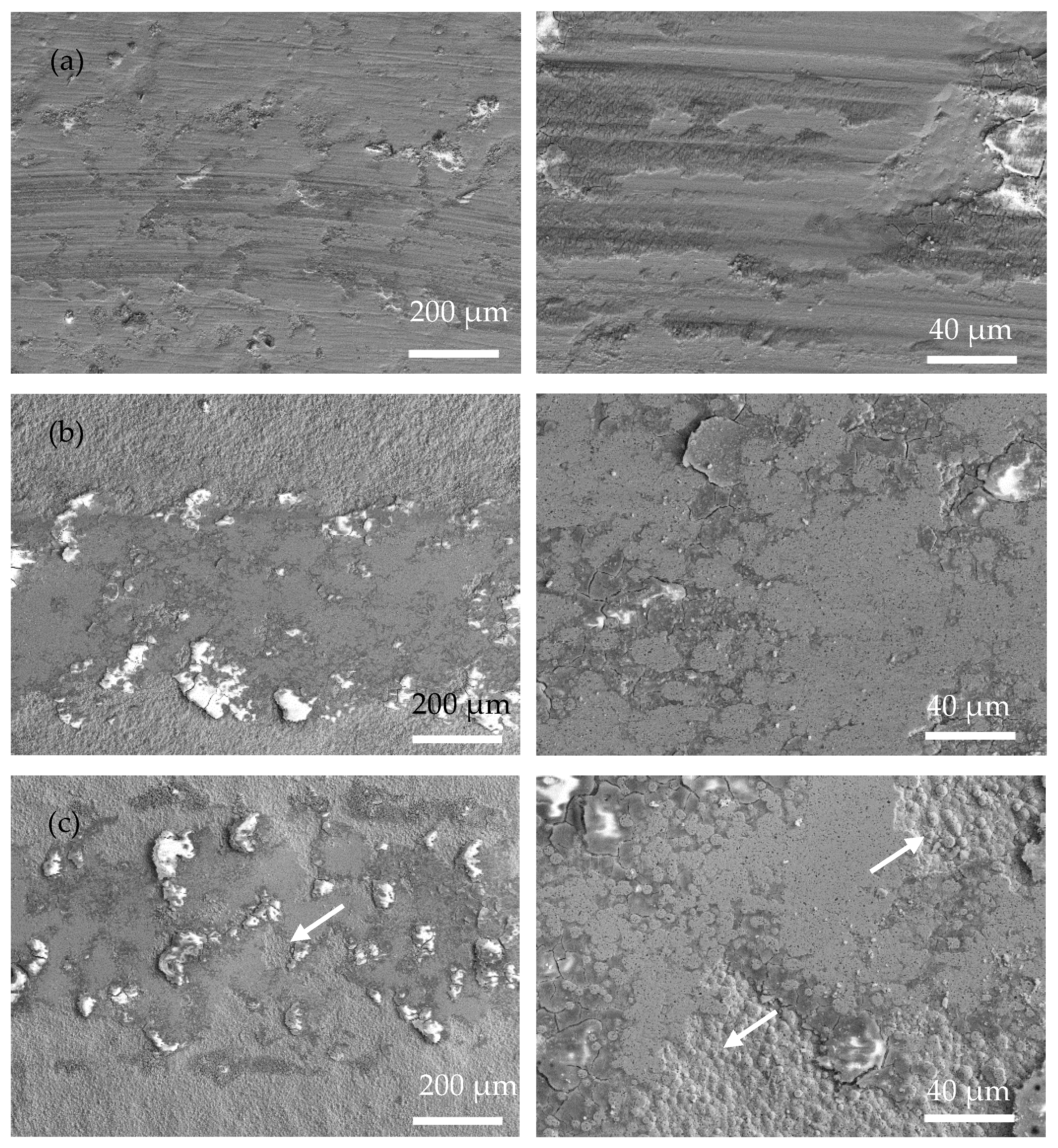 Coatings 13 00723 g007a Coatings 13 00723 g007a