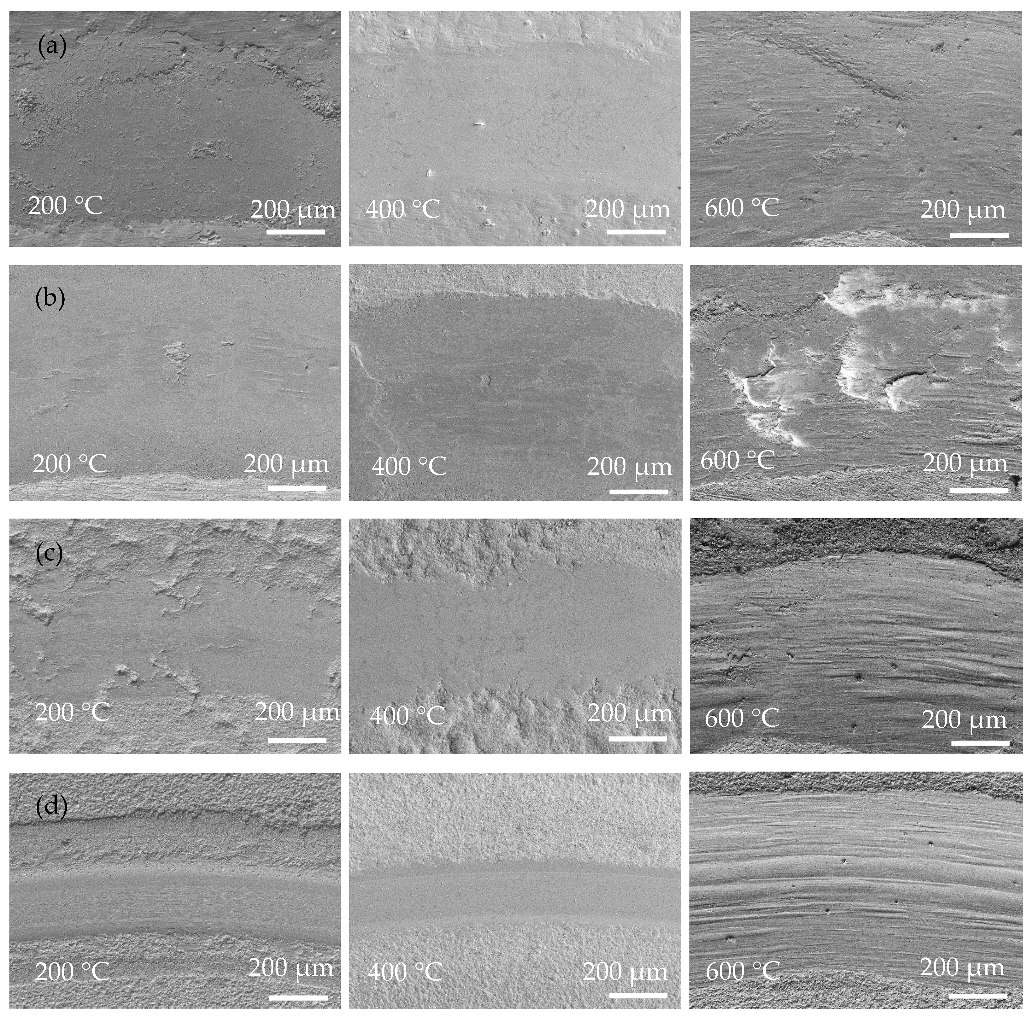 Coatings 13 00723 g008 Coatings 13 00723 g008
