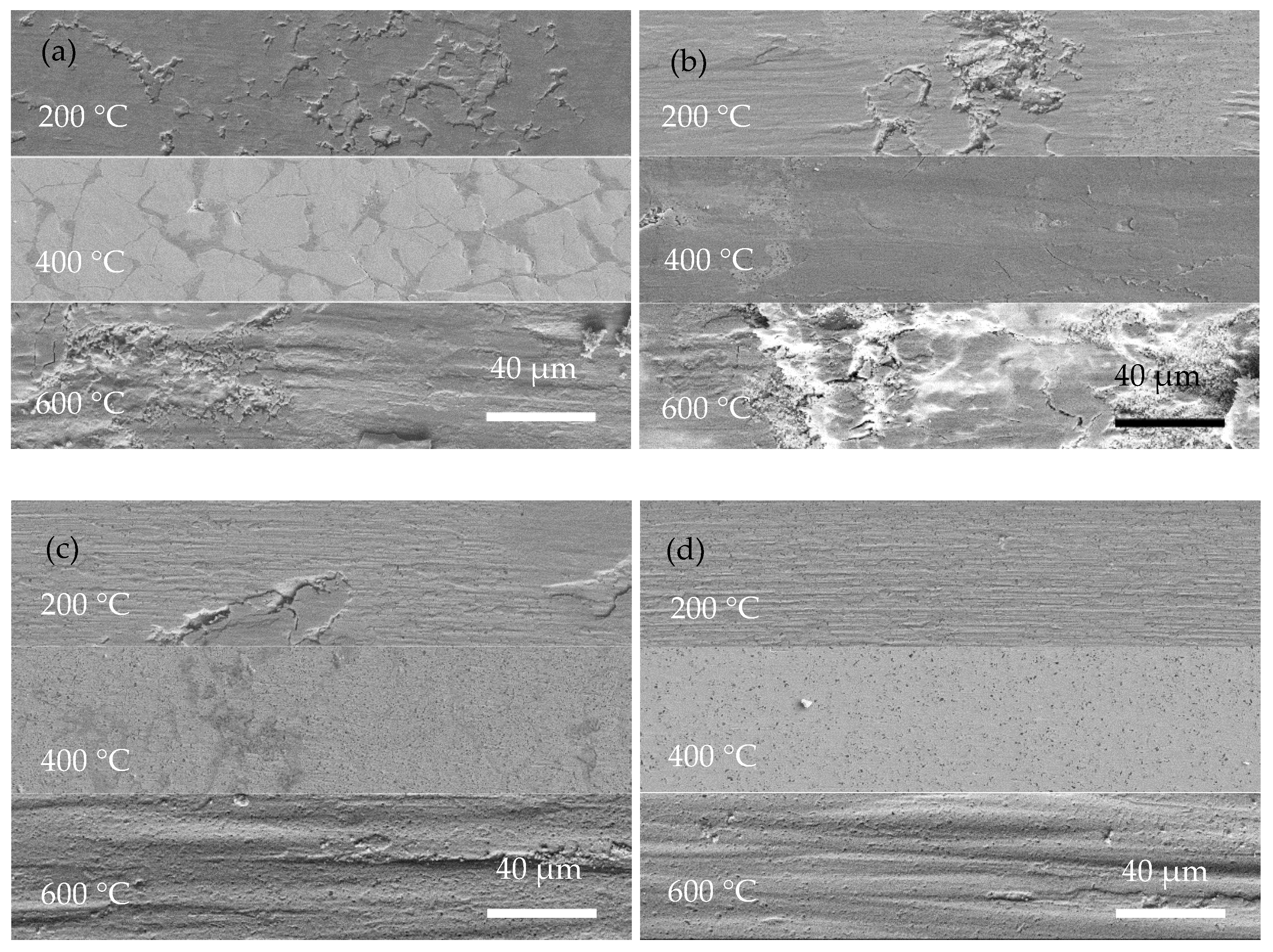 Coatings 13 00723 g009 Coatings 13 00723 g009