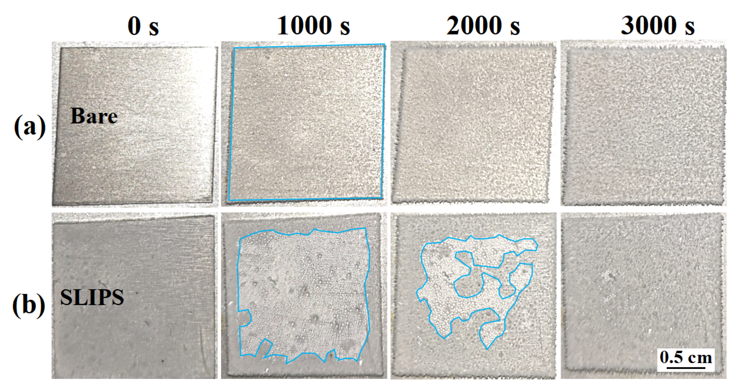 Coatings 13 00732 g006