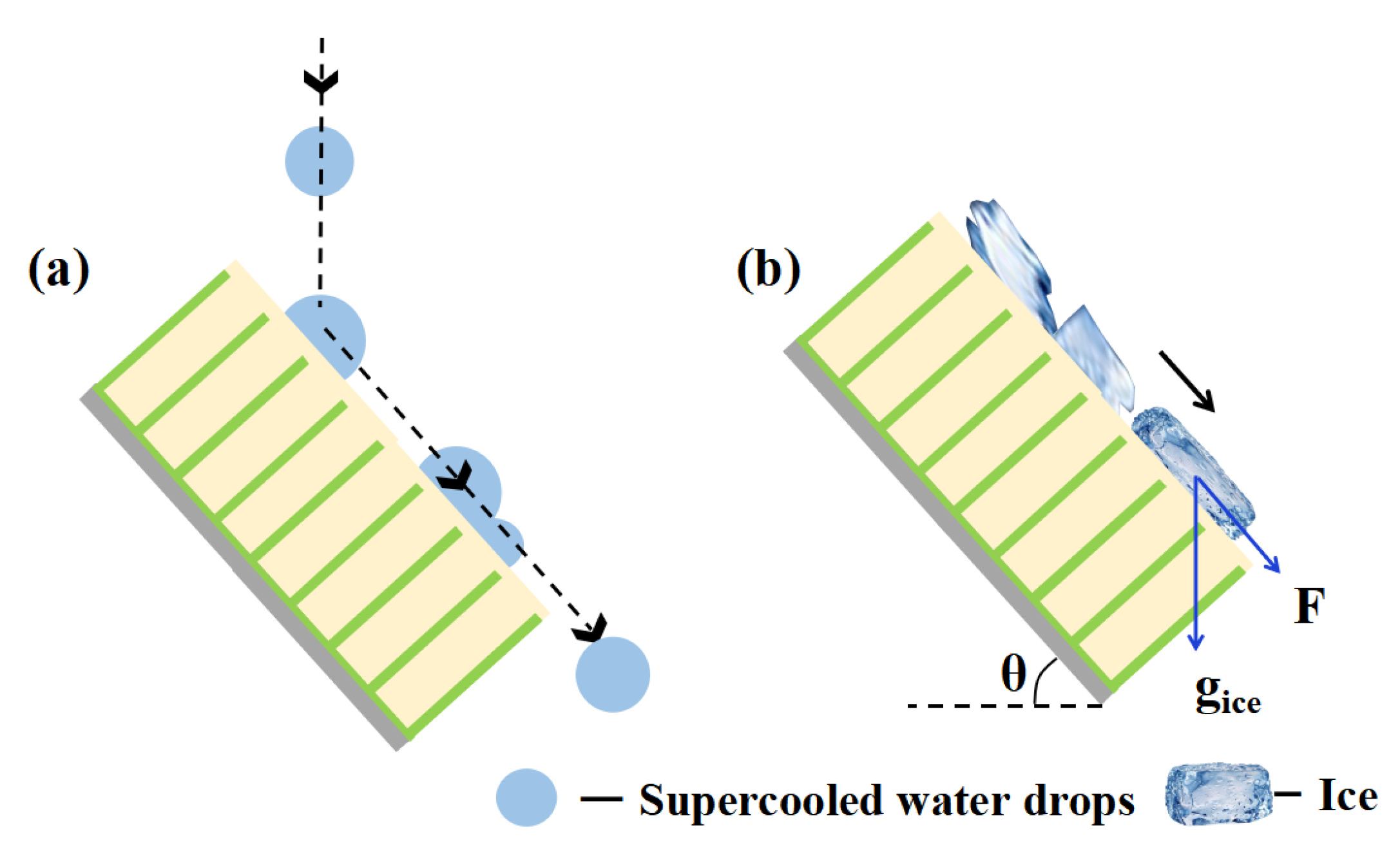 Coatings 13 00732 g010