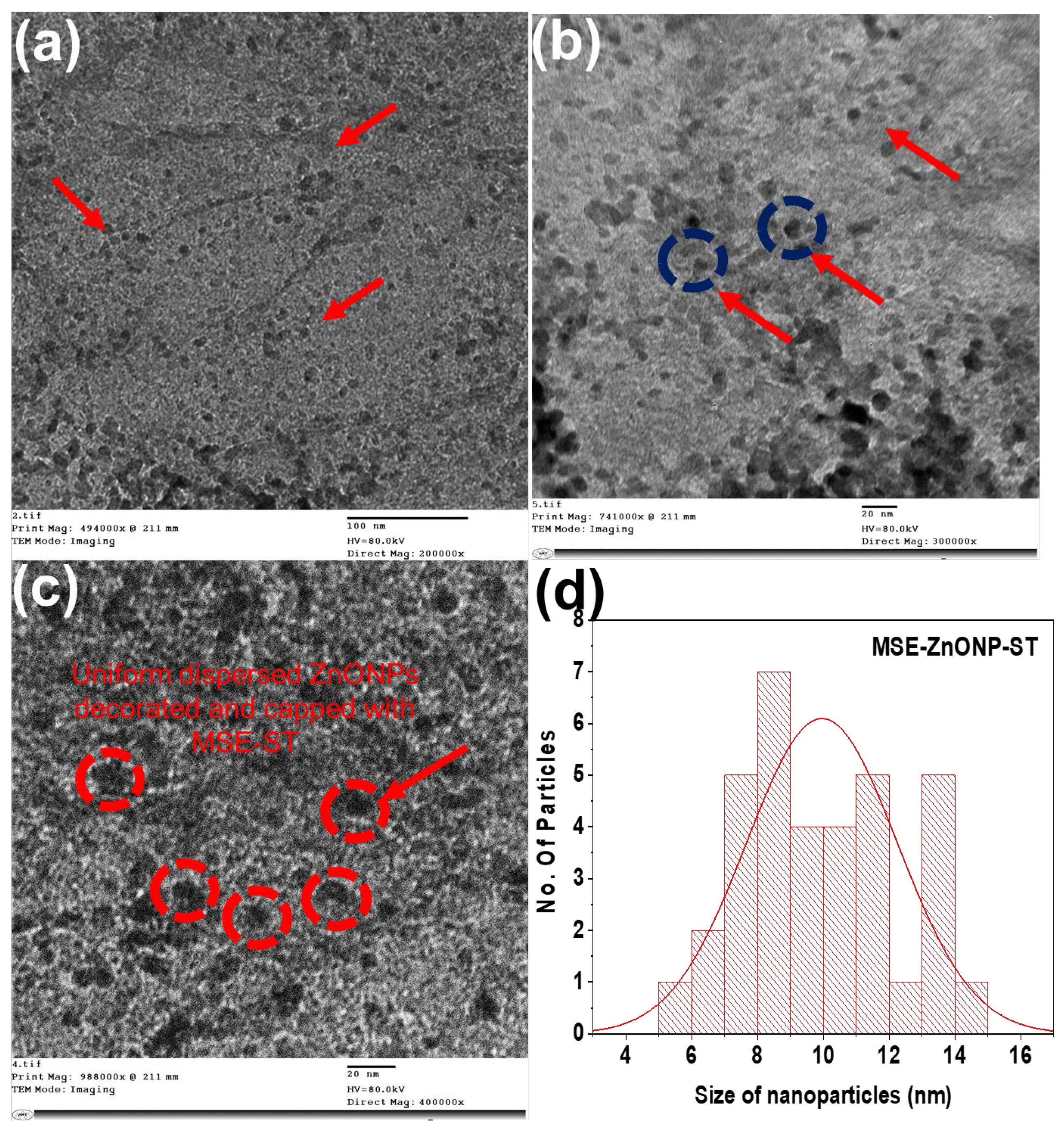 Coatings 13 00747 g002 Coatings 13 00747 g002