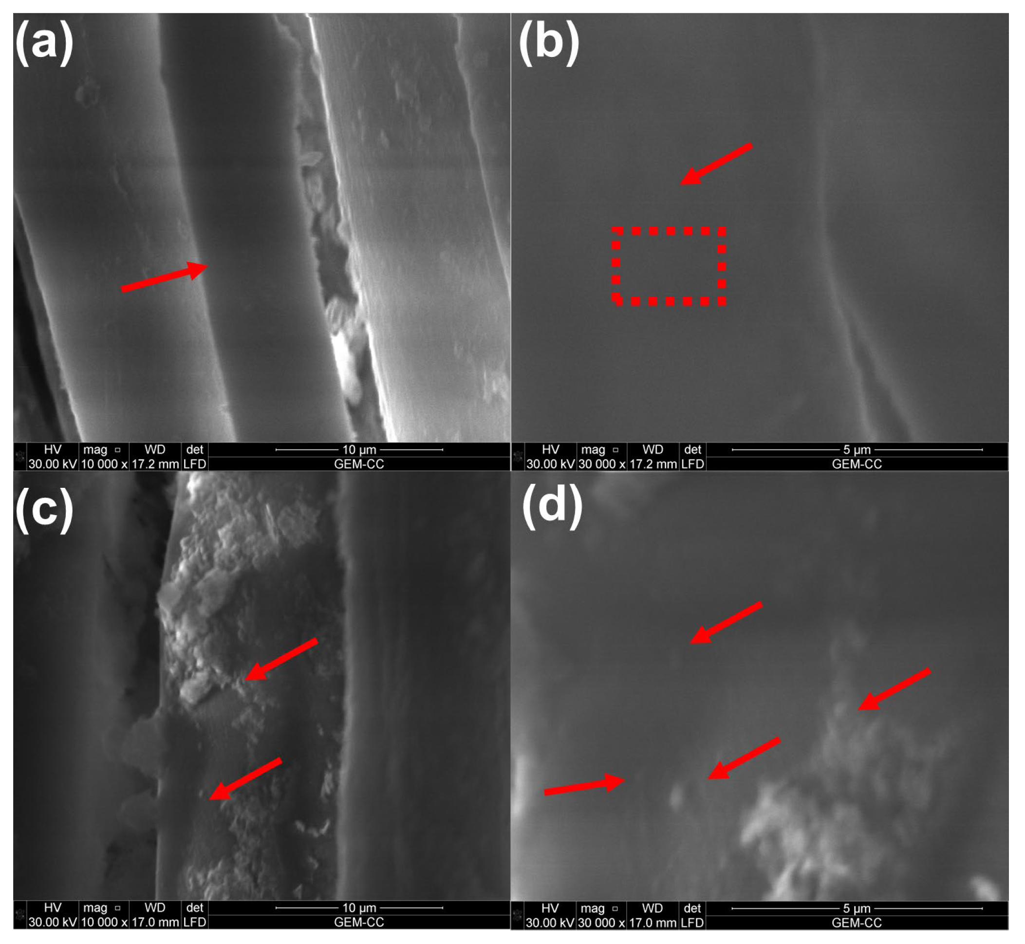Coatings 13 00747 g003 Coatings 13 00747 g003